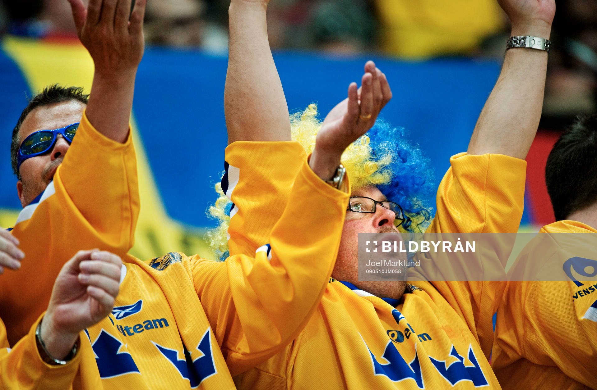 Svenska fans, supporter