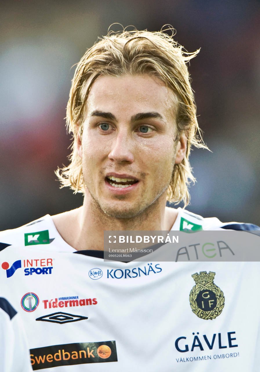 Daniel Theorin, porträtt