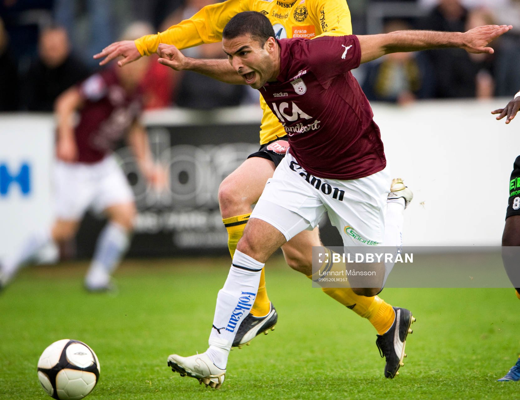 Arash Bayat, Qviding