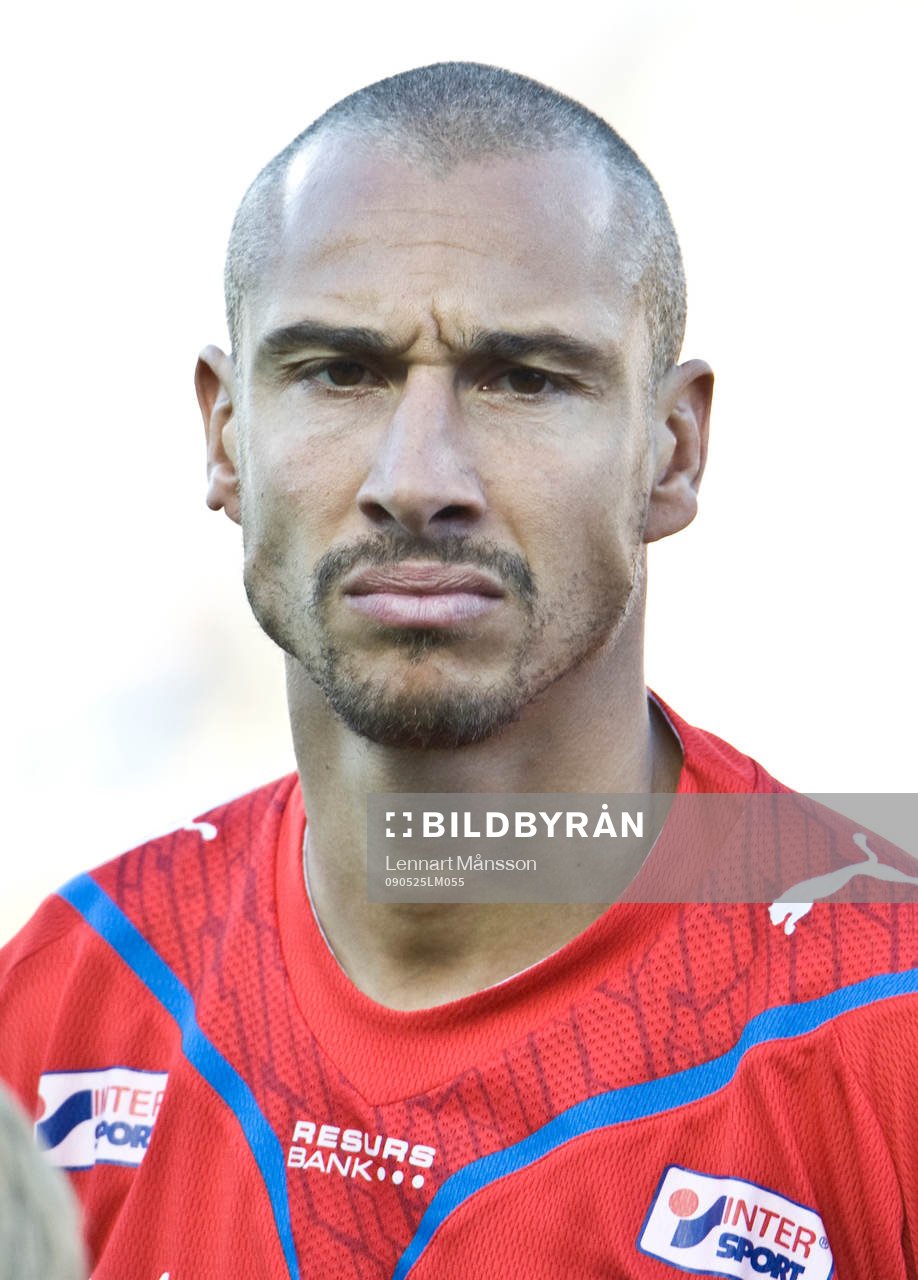 Henrik Larsson, porträtt