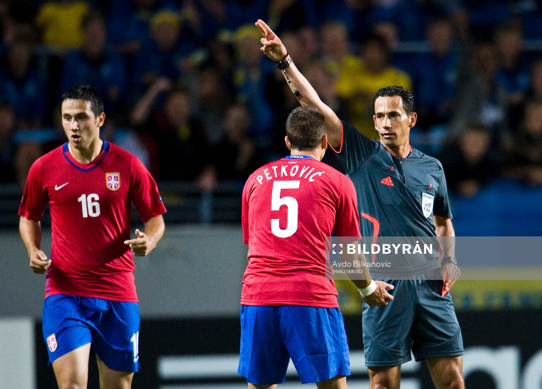 Pedro Proenca Oliviera Alves Garcia, domare, Nikola