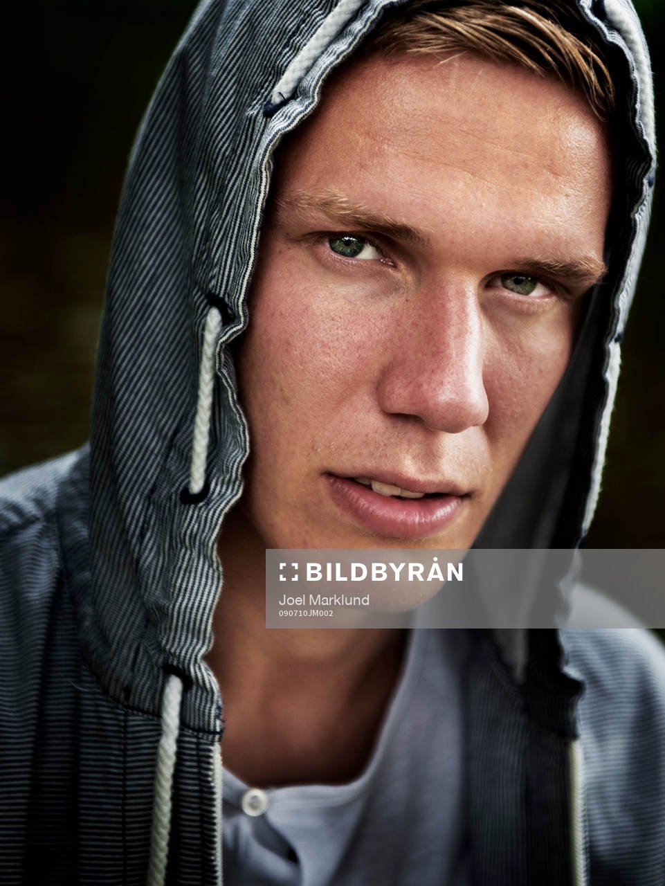 Pontus Wernbloom, Alkmaar