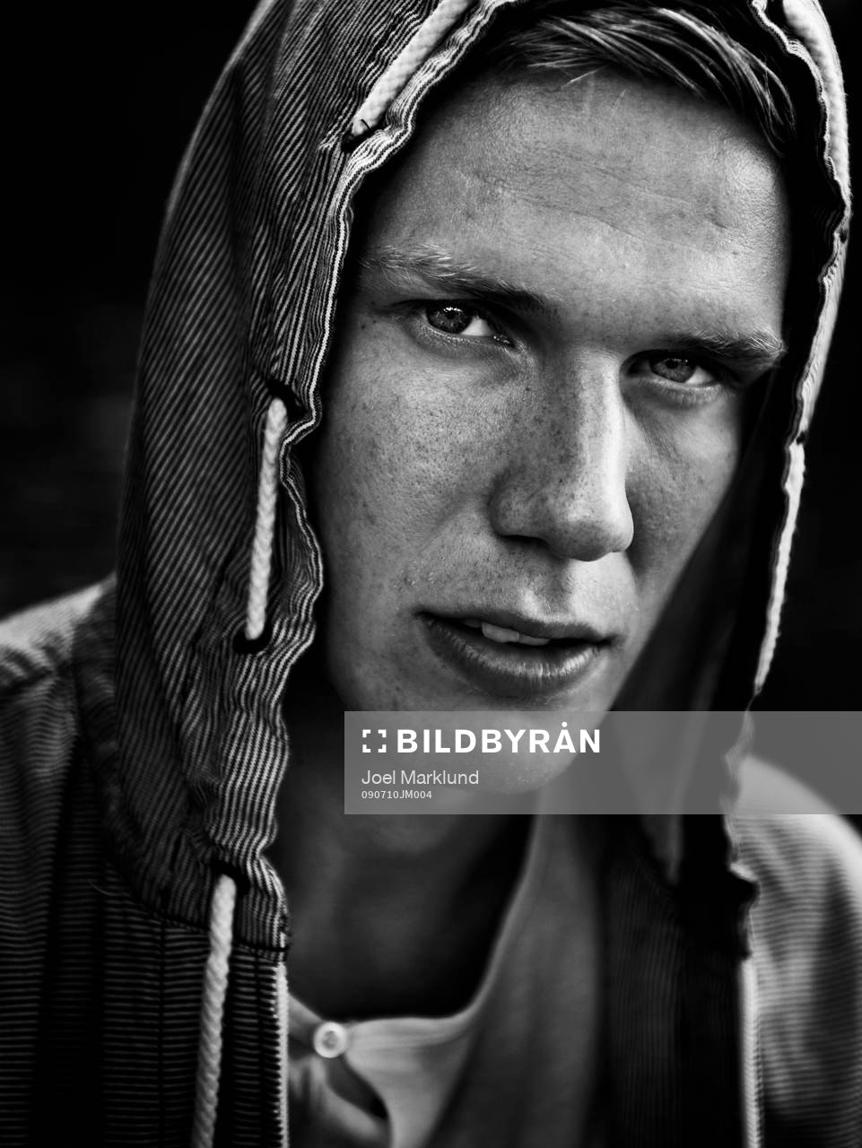 Pontus Wernbloom, Alkmaar
