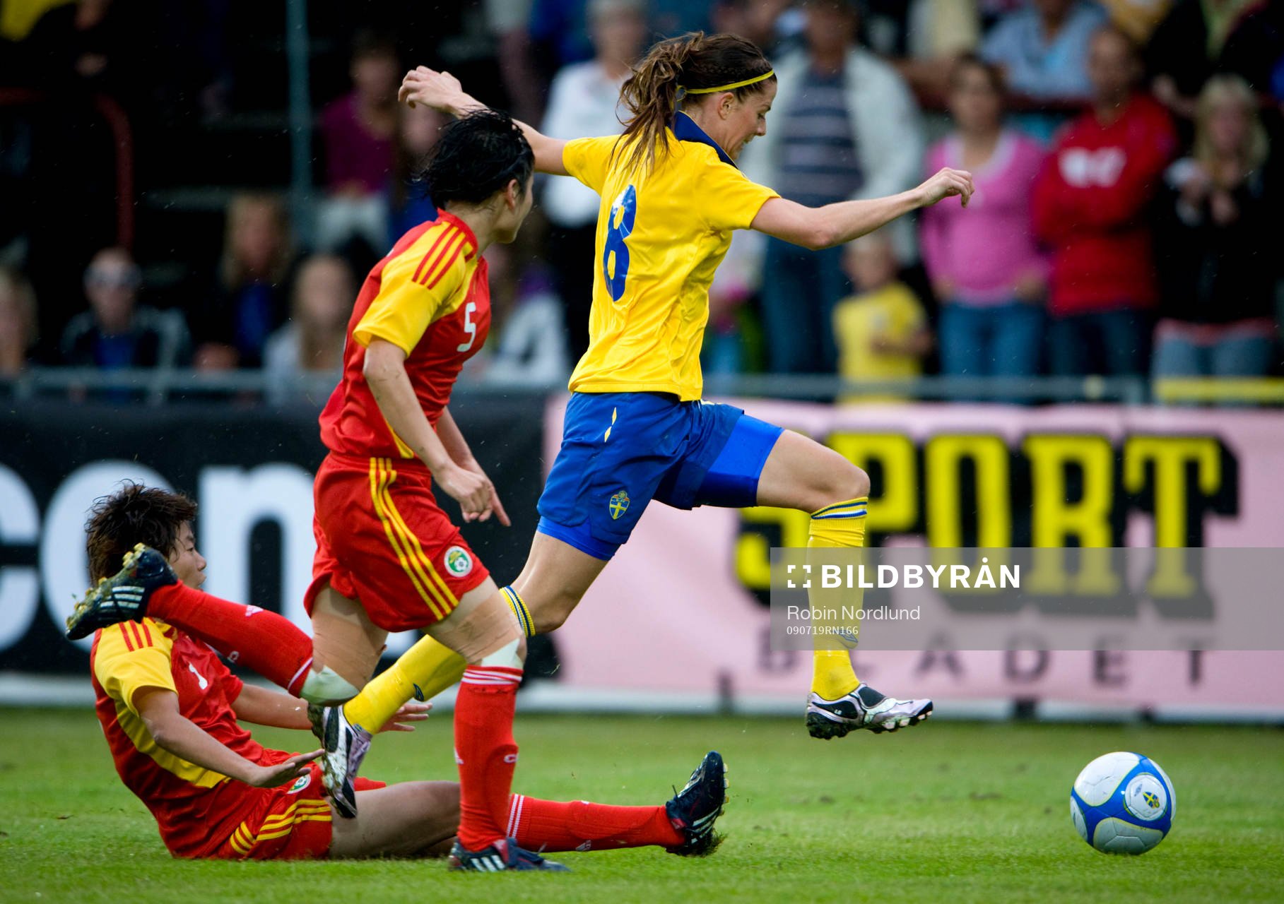 Lotta Schelin, Sverige
