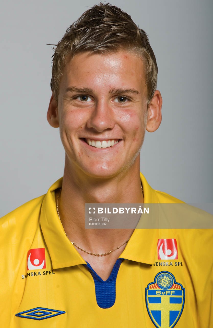 Johan Hammar, Sverige
