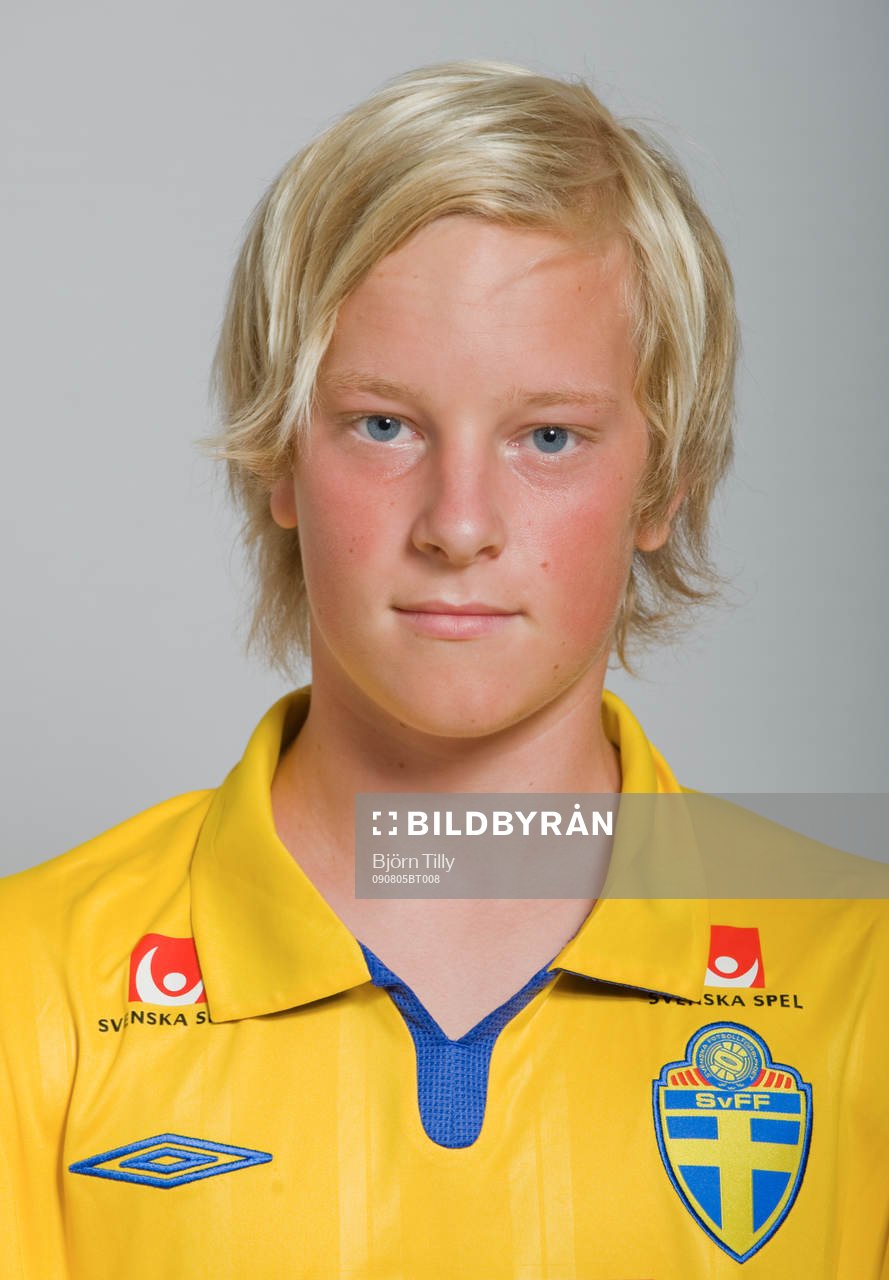 Johan Andersson, Sverige