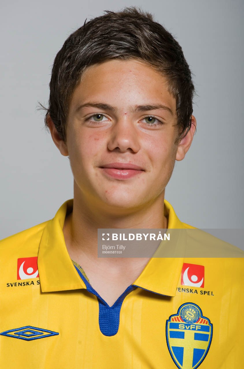 David Moberg Karlsson, Sverige