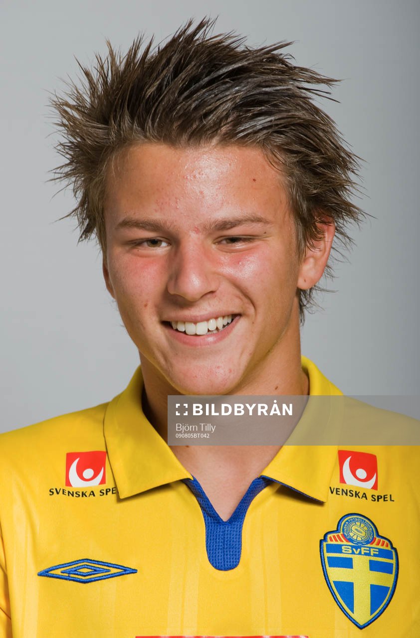 Nikola Zivanovic, Sverige