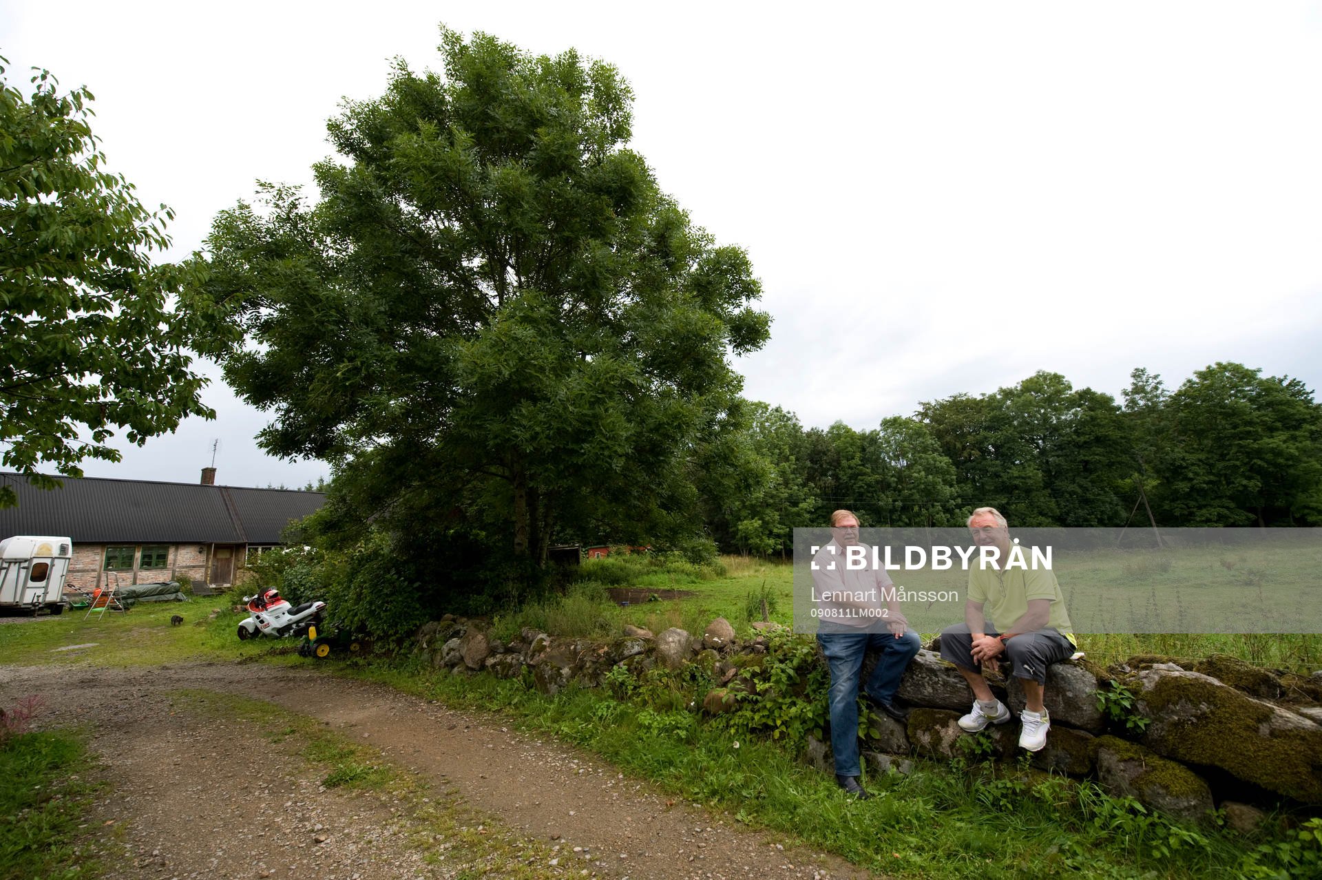 Bo Bosse Nilsson, tränare