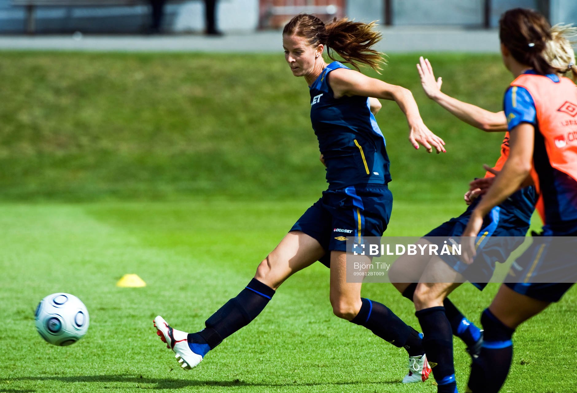 Lotta Schelin, Sverige