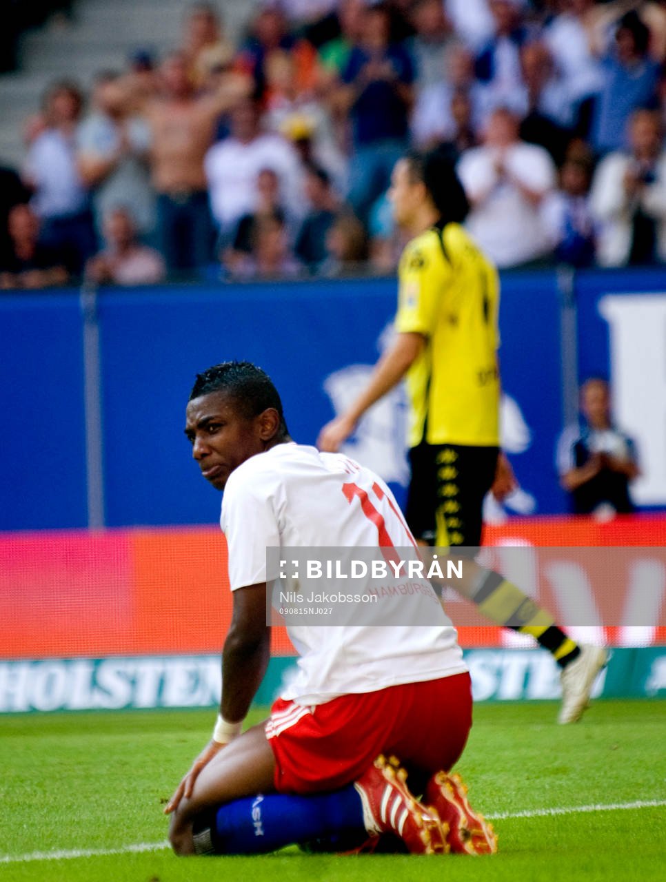 Eljero Elia, Hamburg