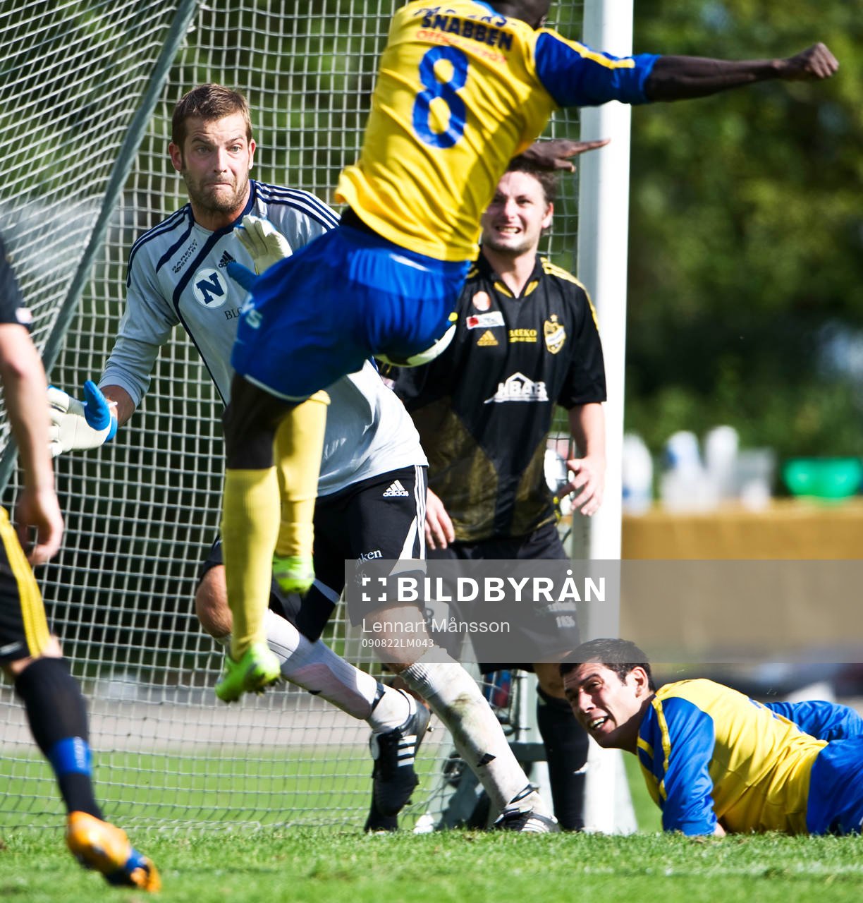 Joel Ringström, målvakt, Hässleholm