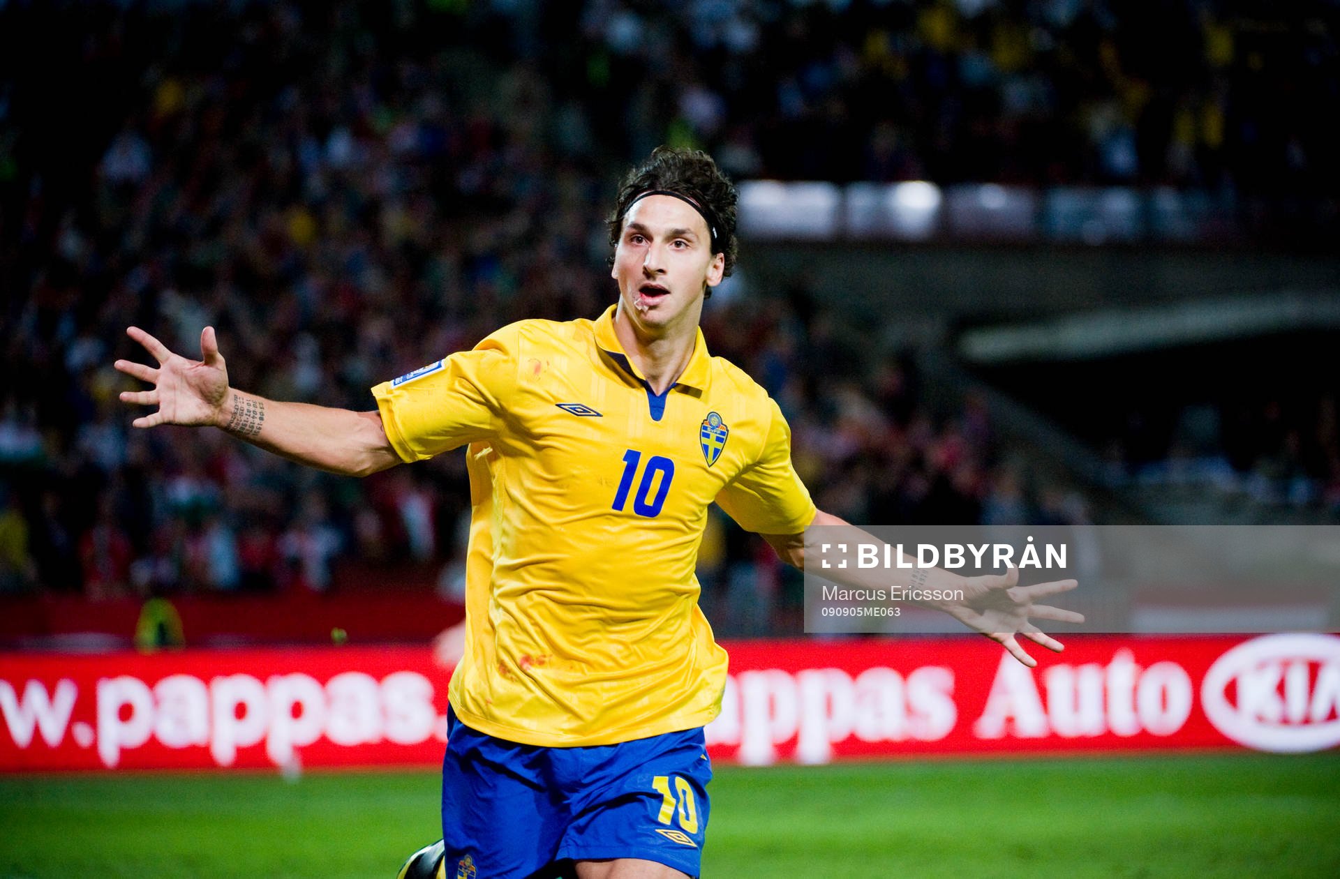 Zlatan Ibrahimovic, Sverige, jubel