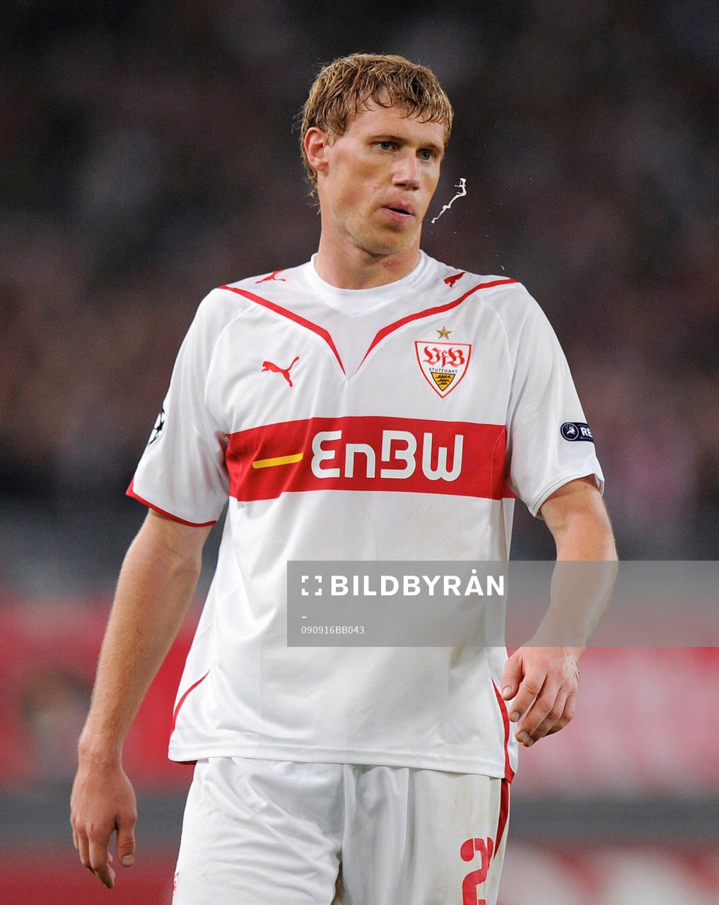 Pavel Pogrebnyak, Stuttgart