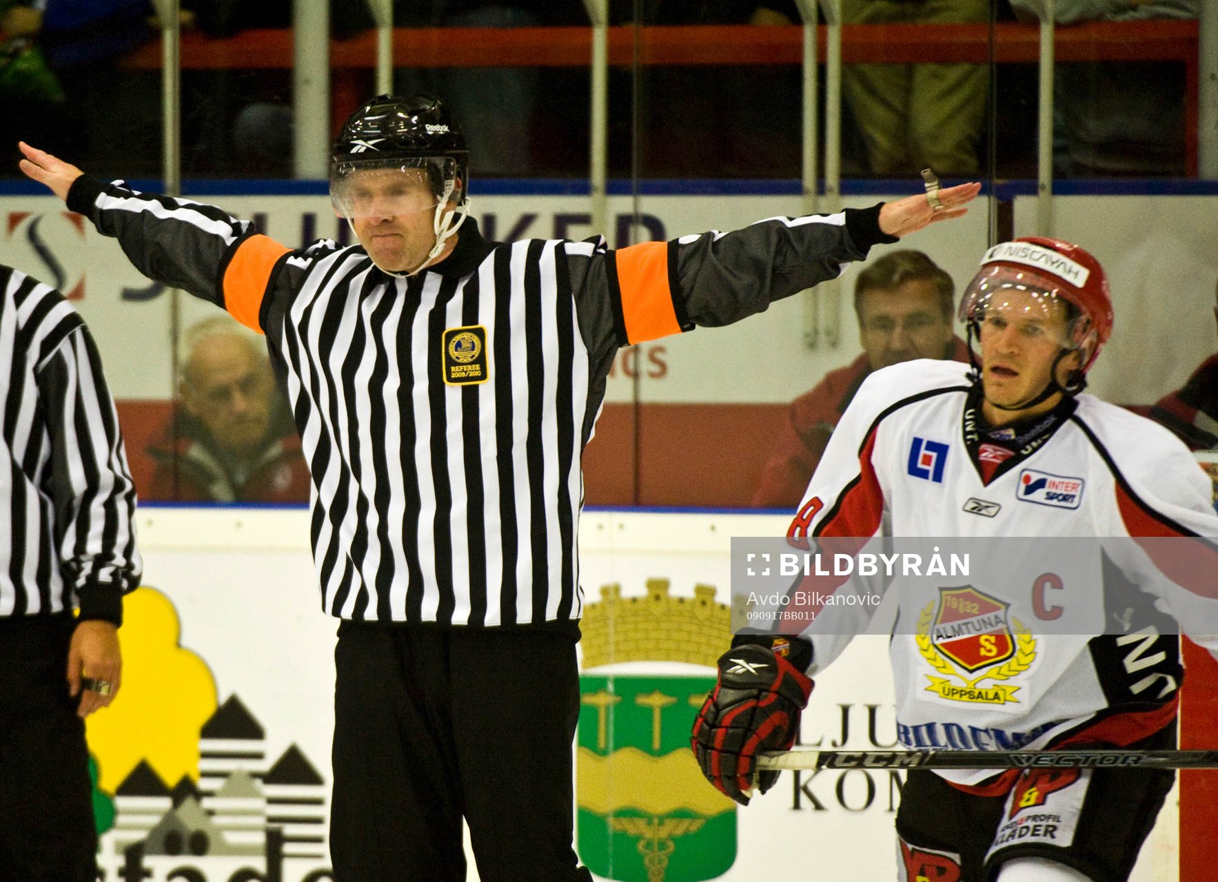 Martin Brolin, domare