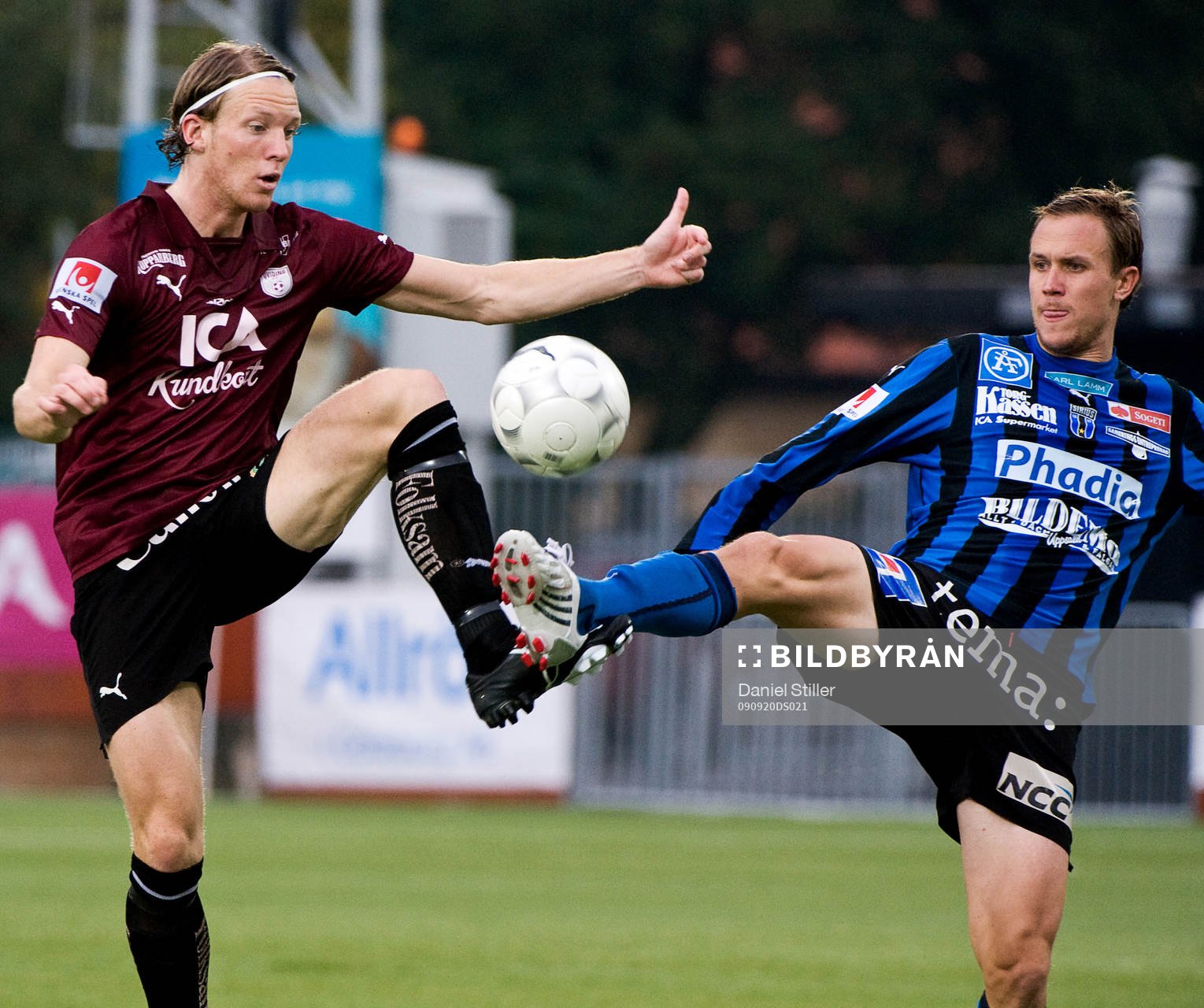 Johan Pettersson, Sirius. David Björkeryd, Qviding