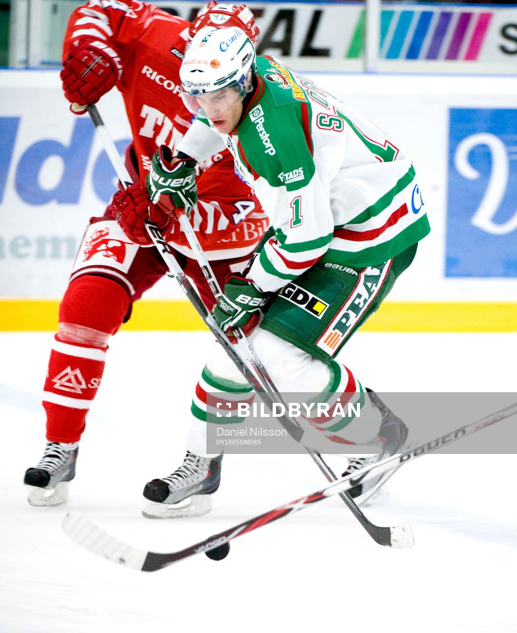 Mattias Sjögren, Rögle