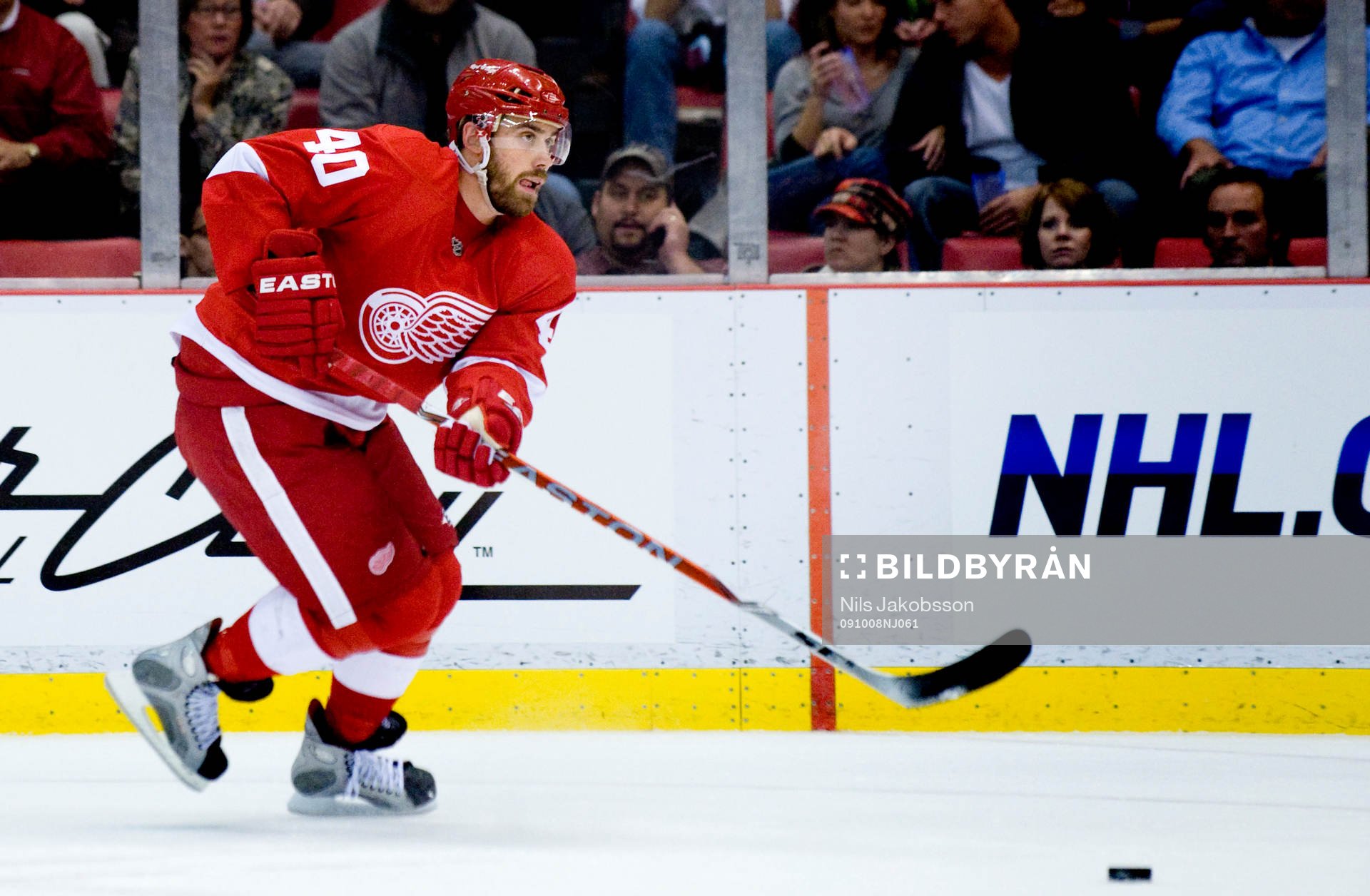 Henrik Zetterberg, Detroit Red Wings