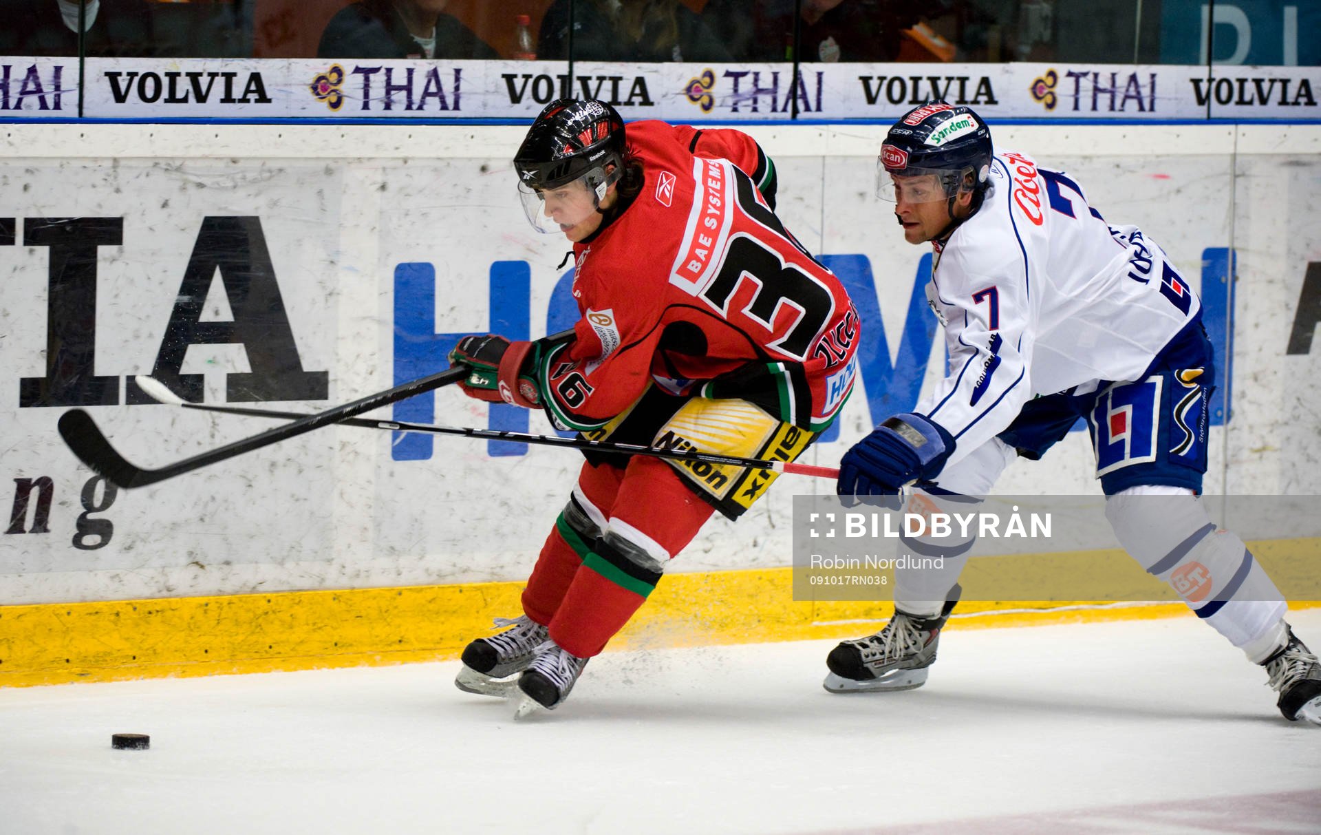 Mats Zuccarello-Aasen, Modo och Magnus Johansson, Linköping