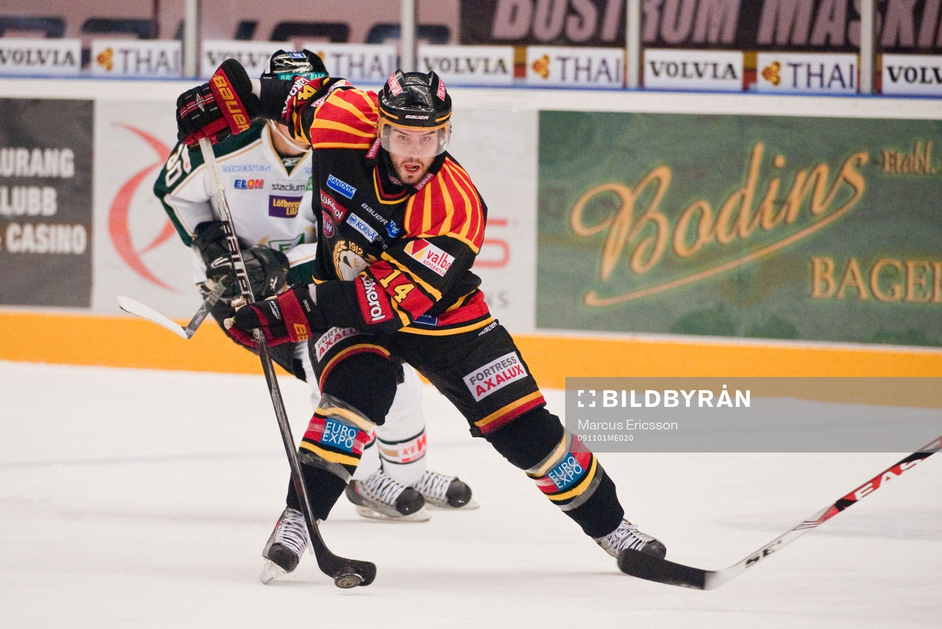 Stephen Dixon, Brynäs