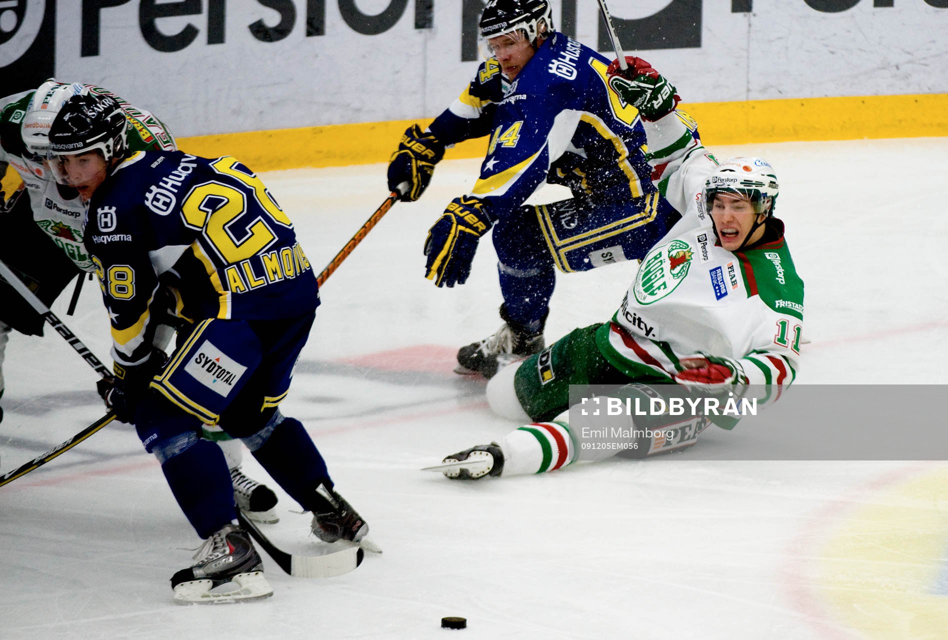 Mattias Sjögren, Rögle