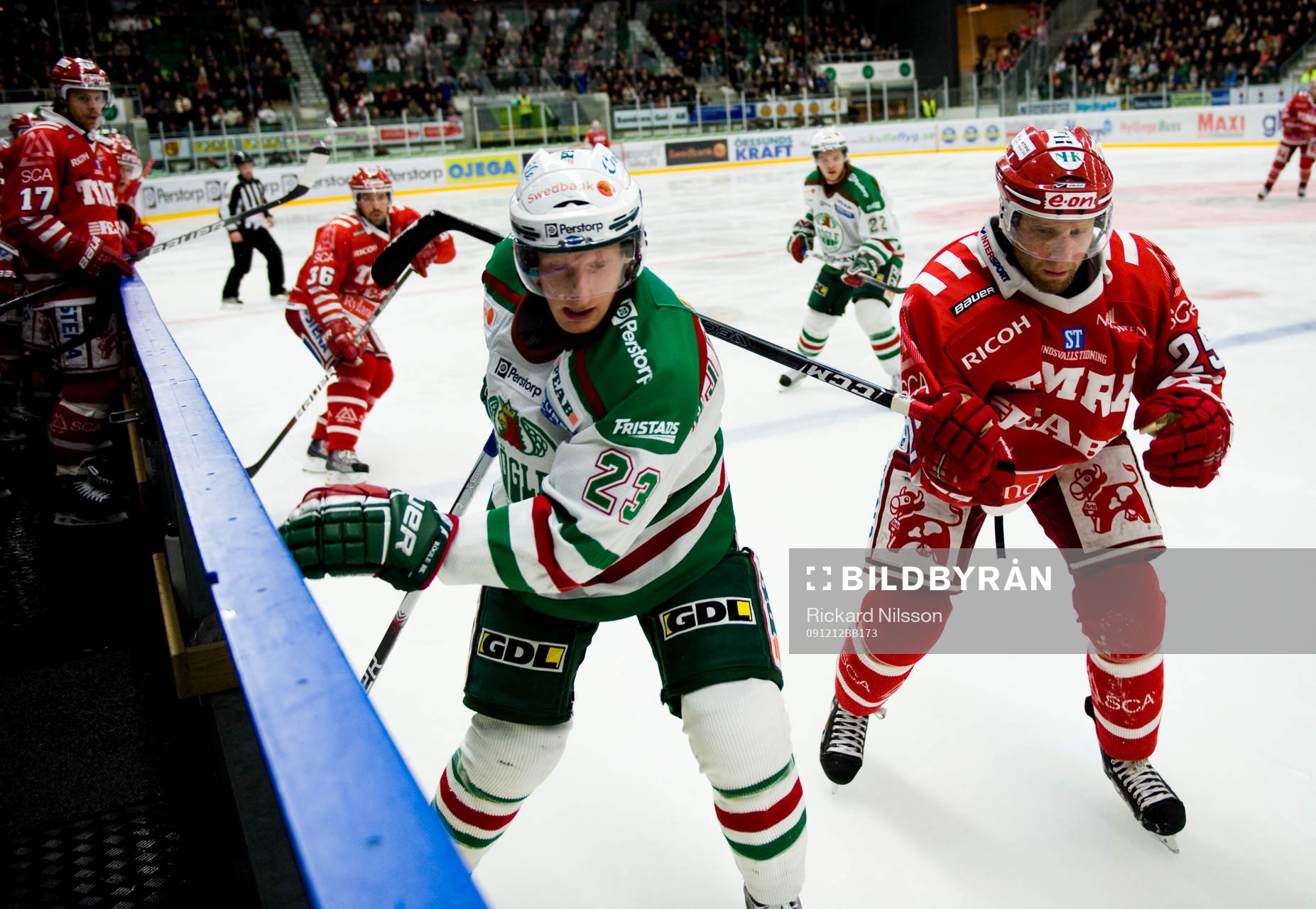 Simon Hjalmarsson, Rögle och Martin Sonnenberg, Timrå