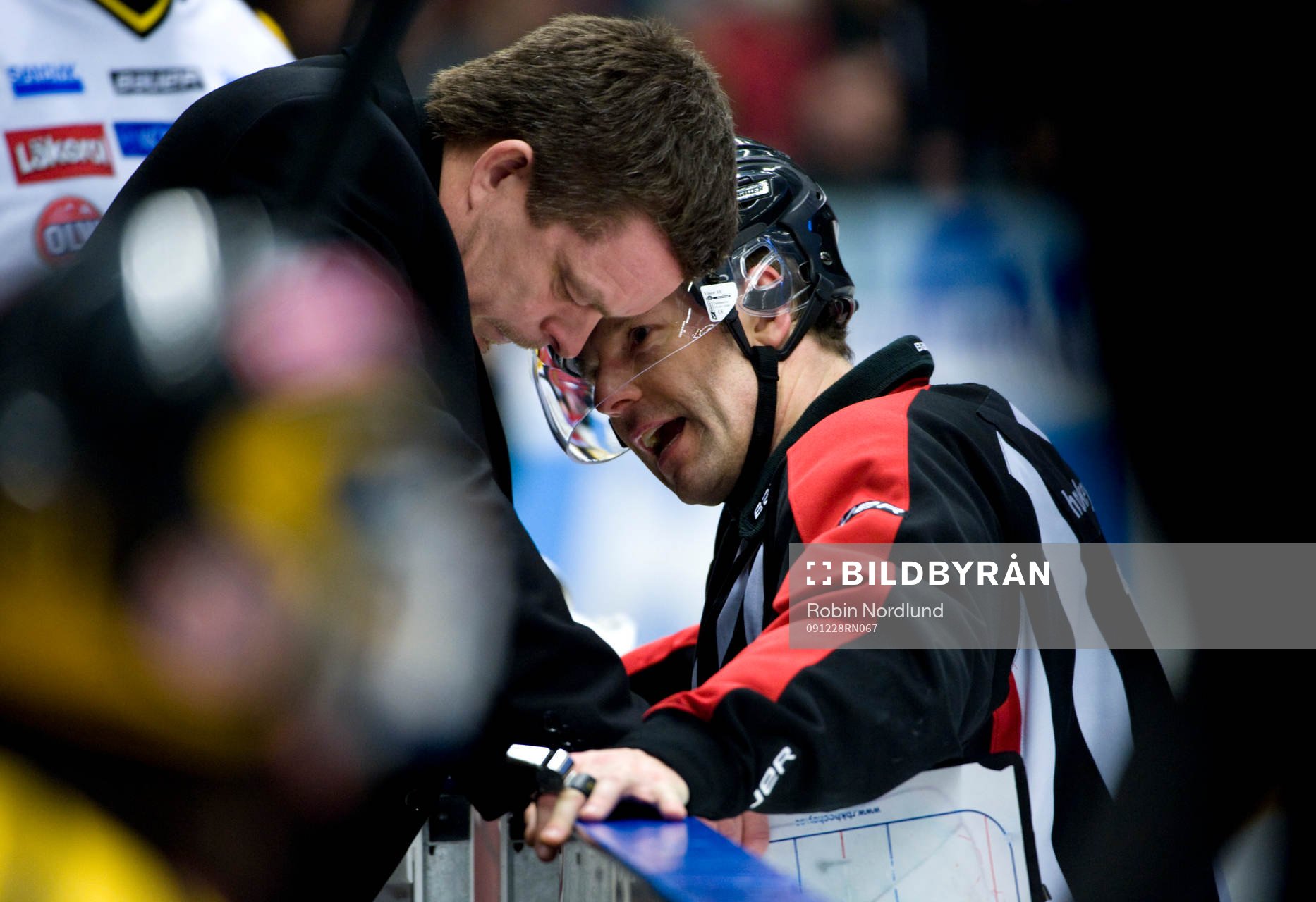 Niklas Czarnecki, Tränare, Brynäs, domare, Volmer Edqvist