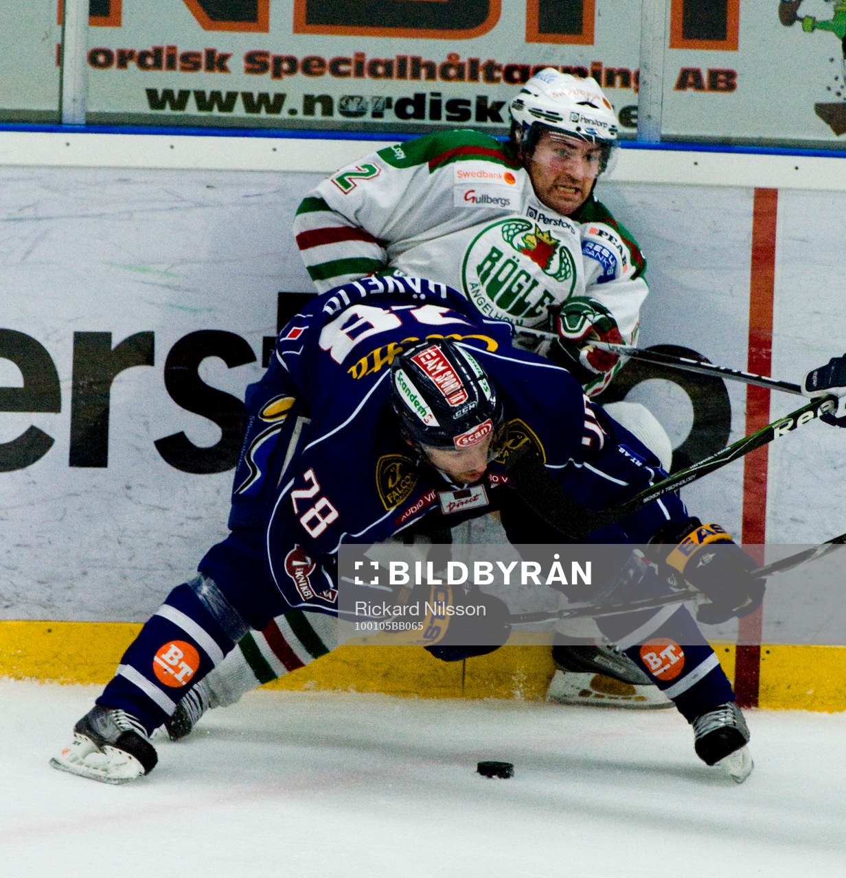 Nicklas Hävelid, Linköping och Peter Högardh, Rögle