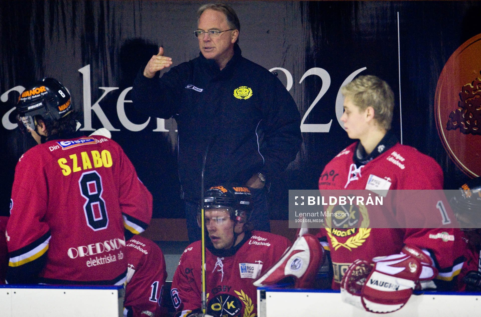 Stephen Higgins, tränare