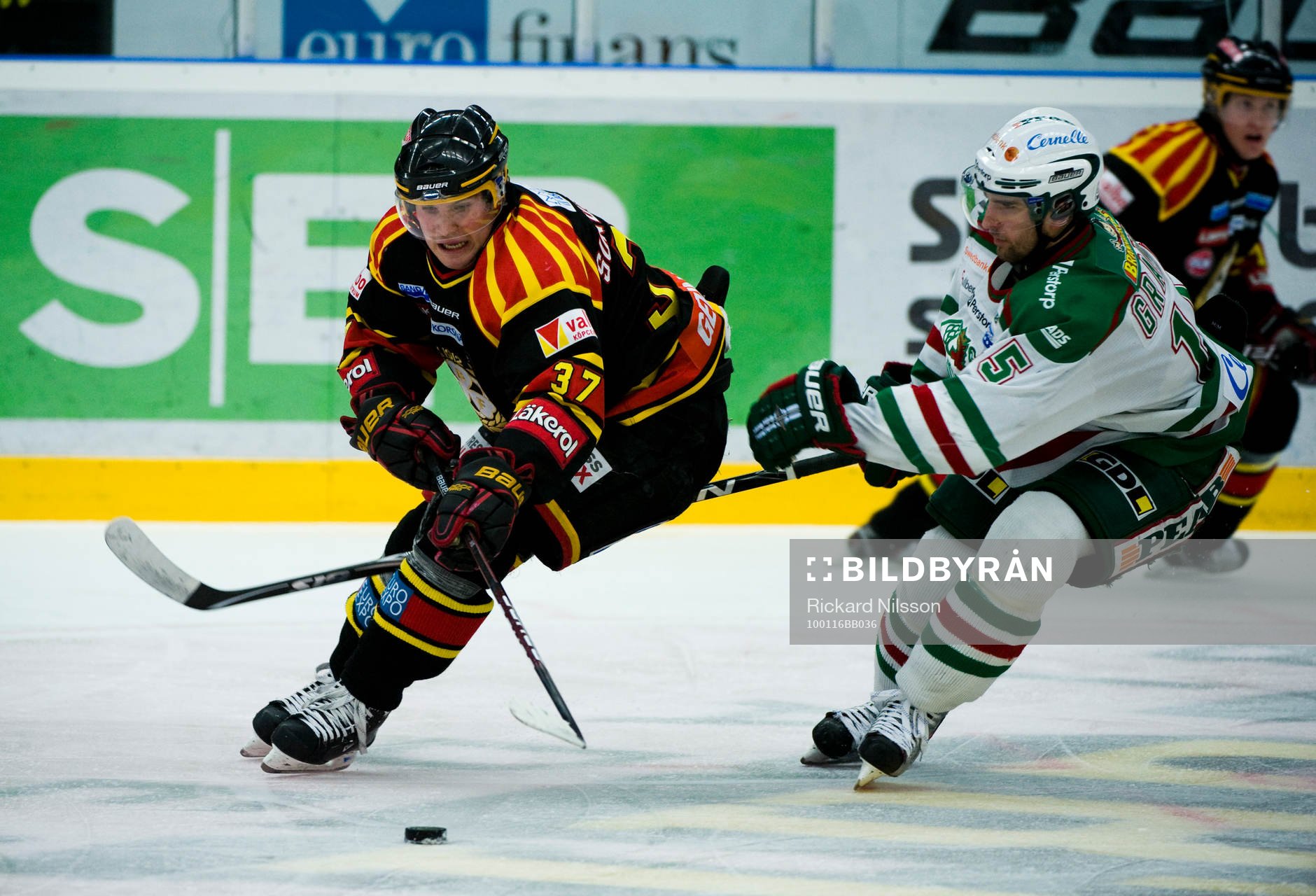 Alexander Sundström, Brynäs och Dominik Granak, Rögle
