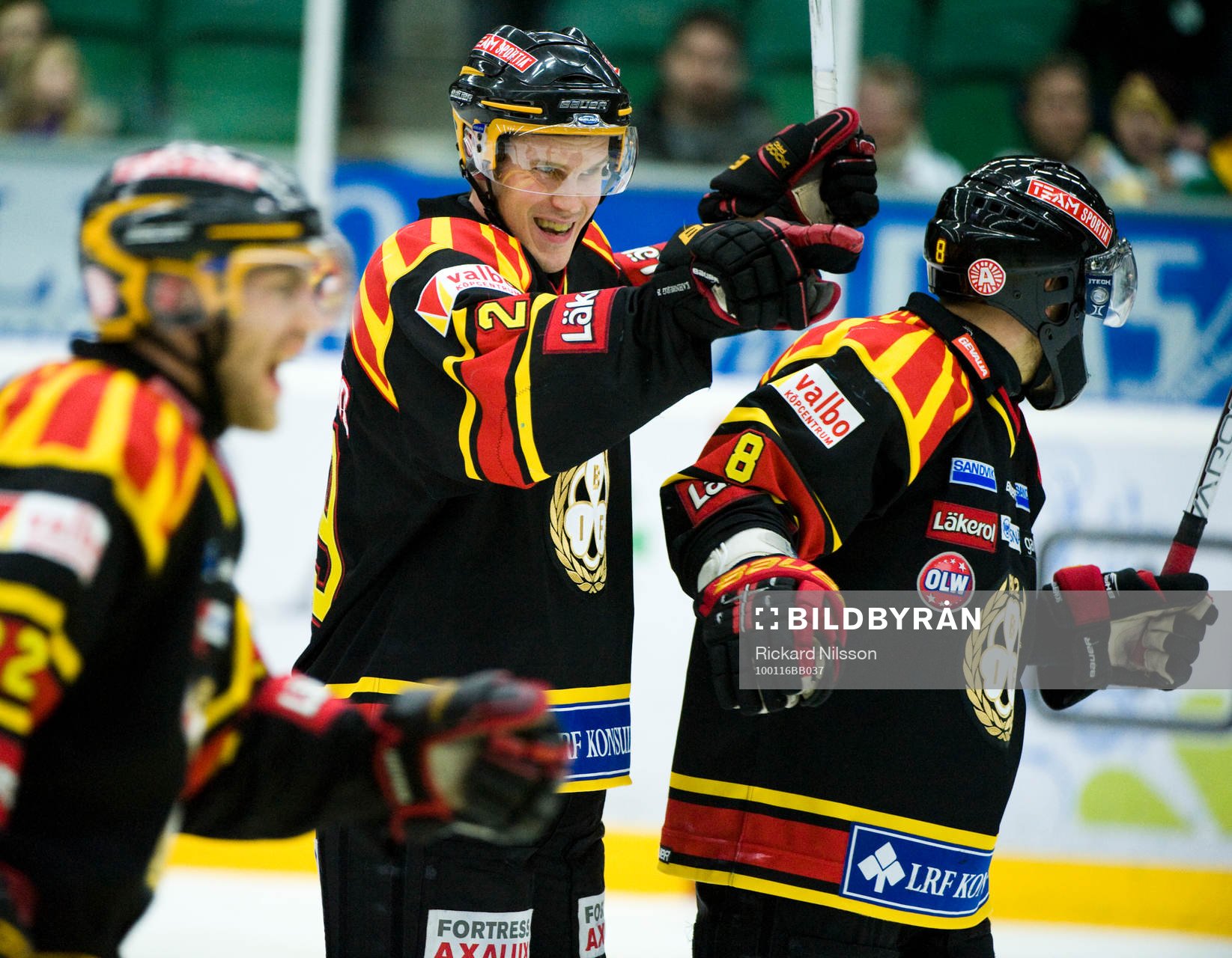 Magnus Kahnberg, Brynäs, jubel