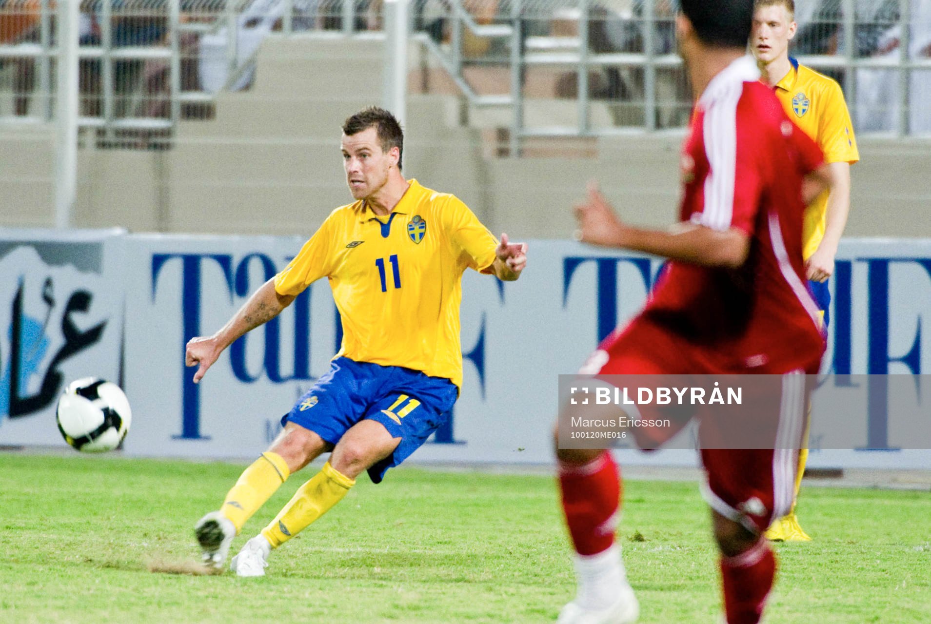 Pontus Farnerud, Sverige