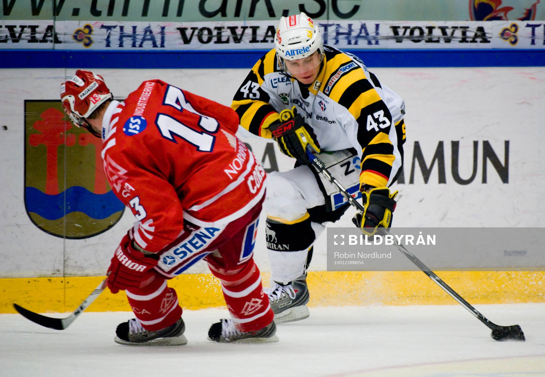 Daniel Corso, Timrå och Tomas Surovy, Skellefteå