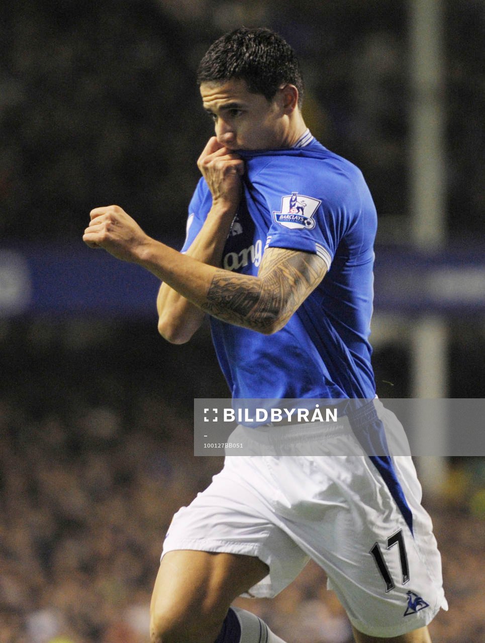 Tim Cahill