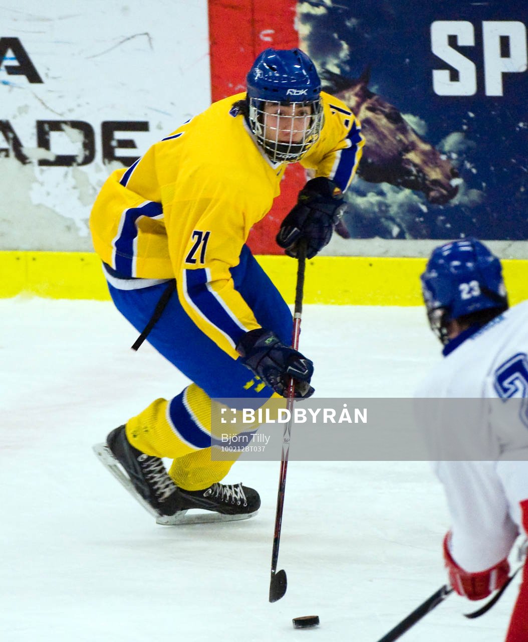 Mika Zibanejad, Sverige