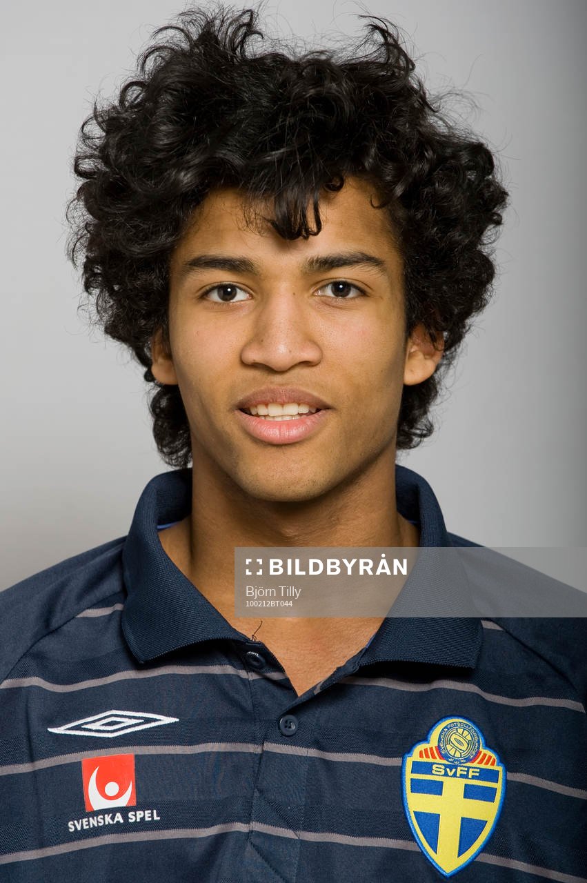 Edvin Ekholm, Sverige