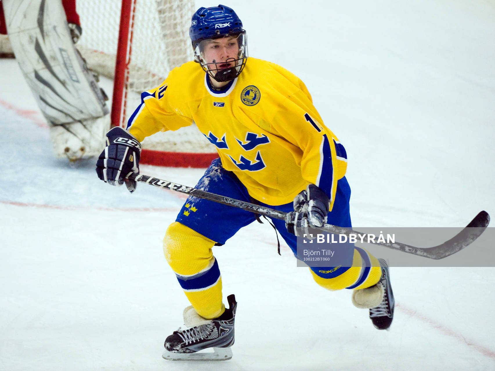 Joachim Nermark, Sverige