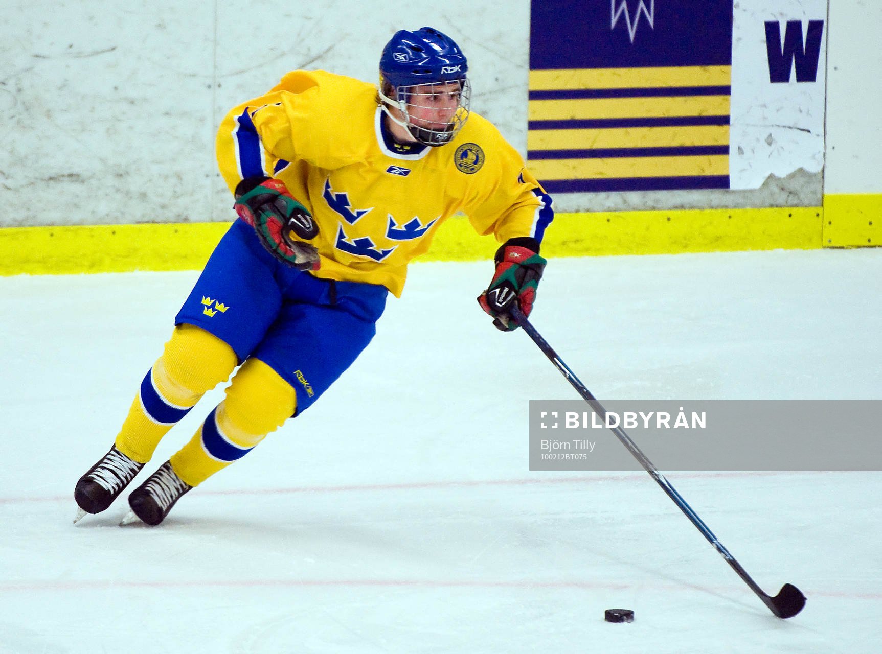 Petter Runesson, Sverige