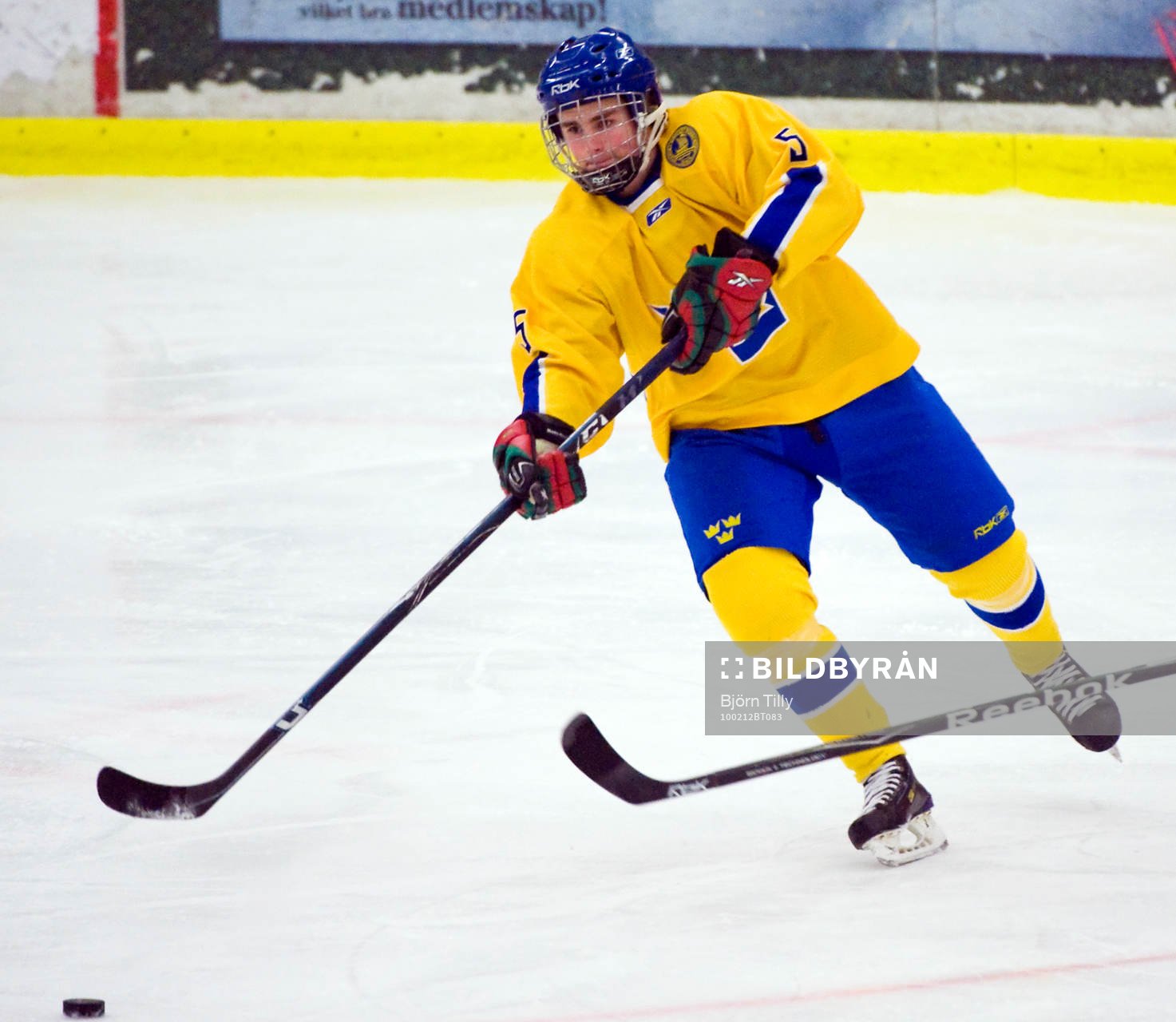 Petter Runesson, Sverige