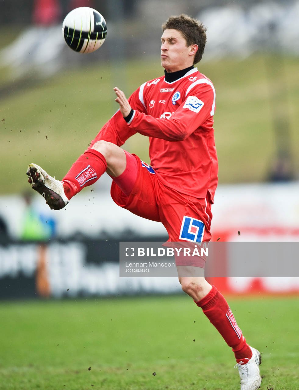 Paulus Roiha