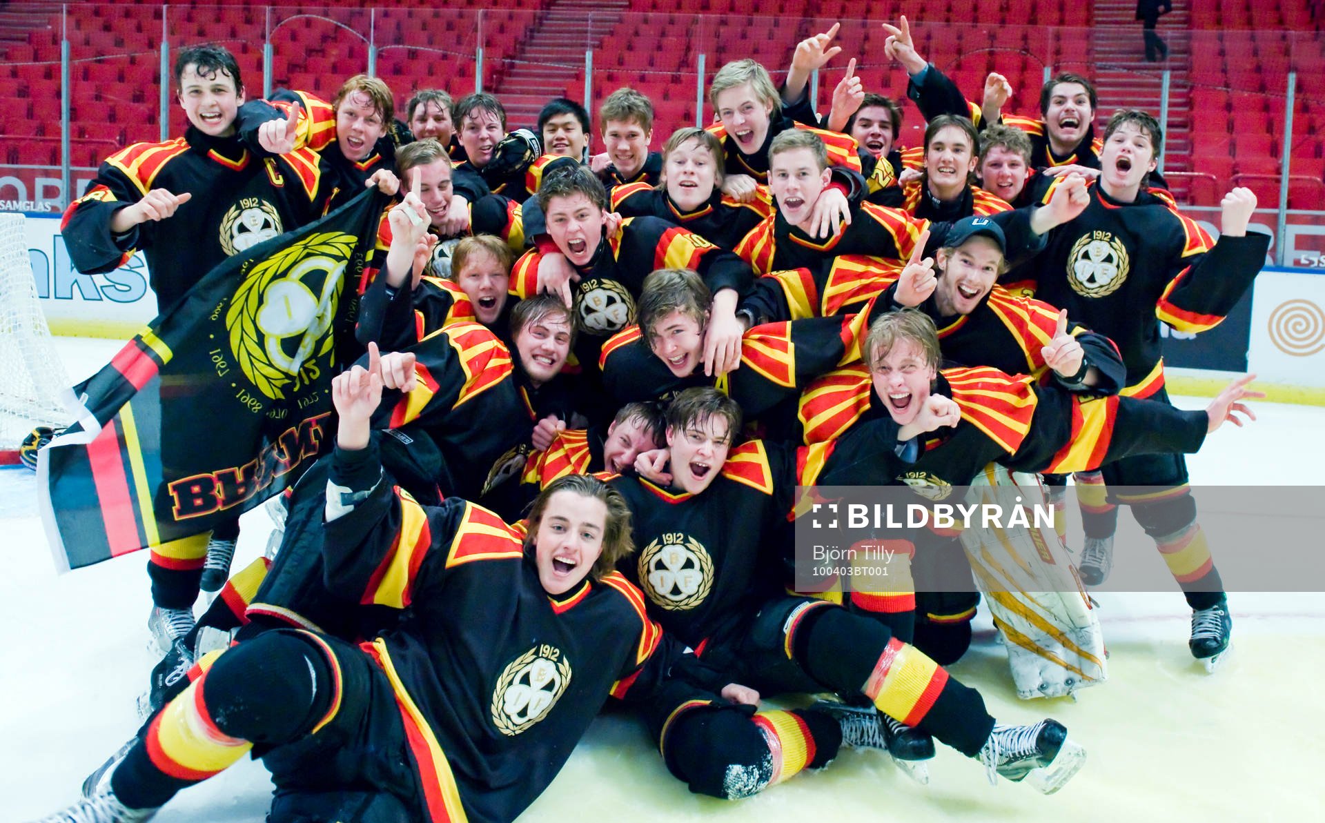 Brynäs segrande lag