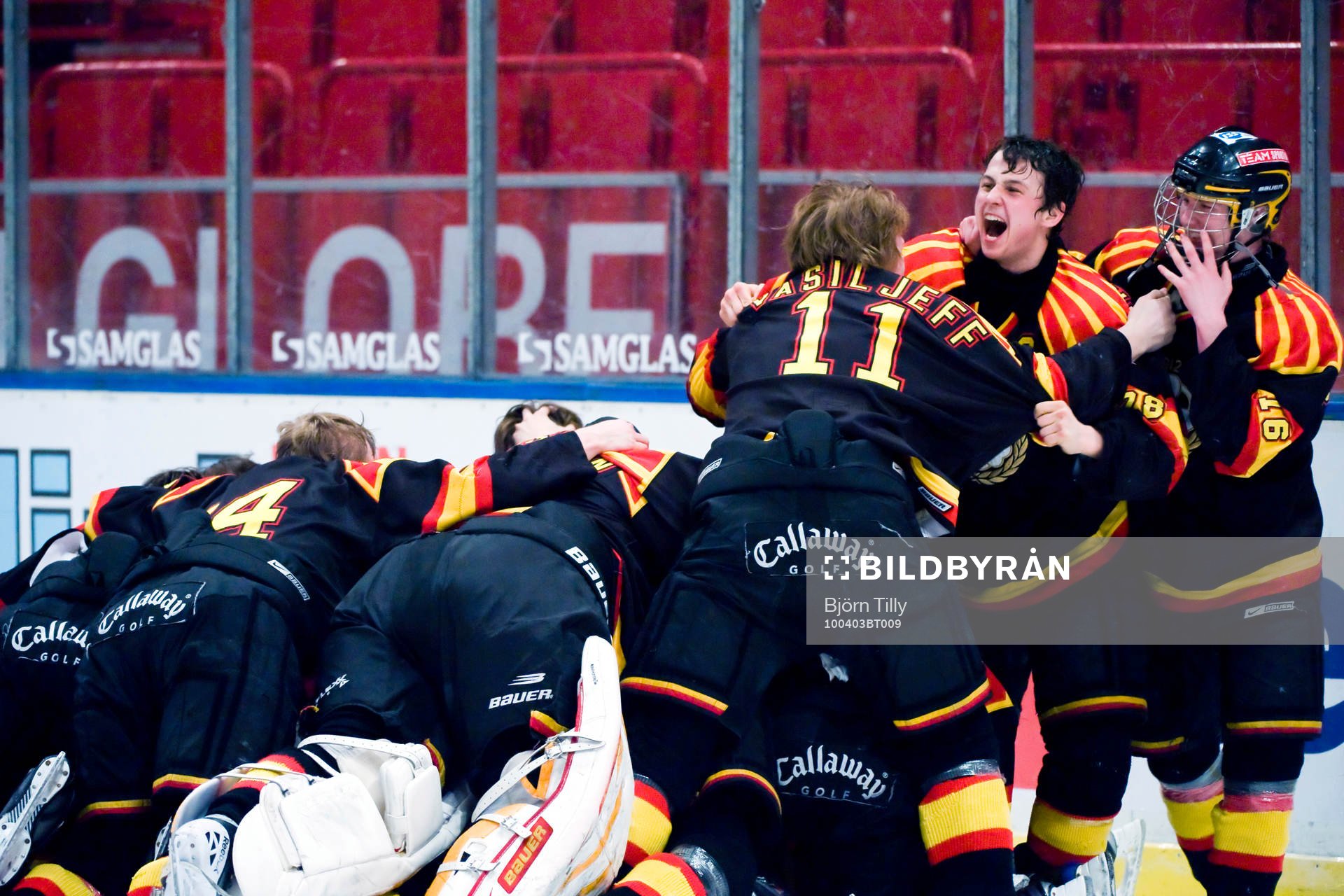 Alexander Sågström, Brynäs och Karl Johansson, Brynäs