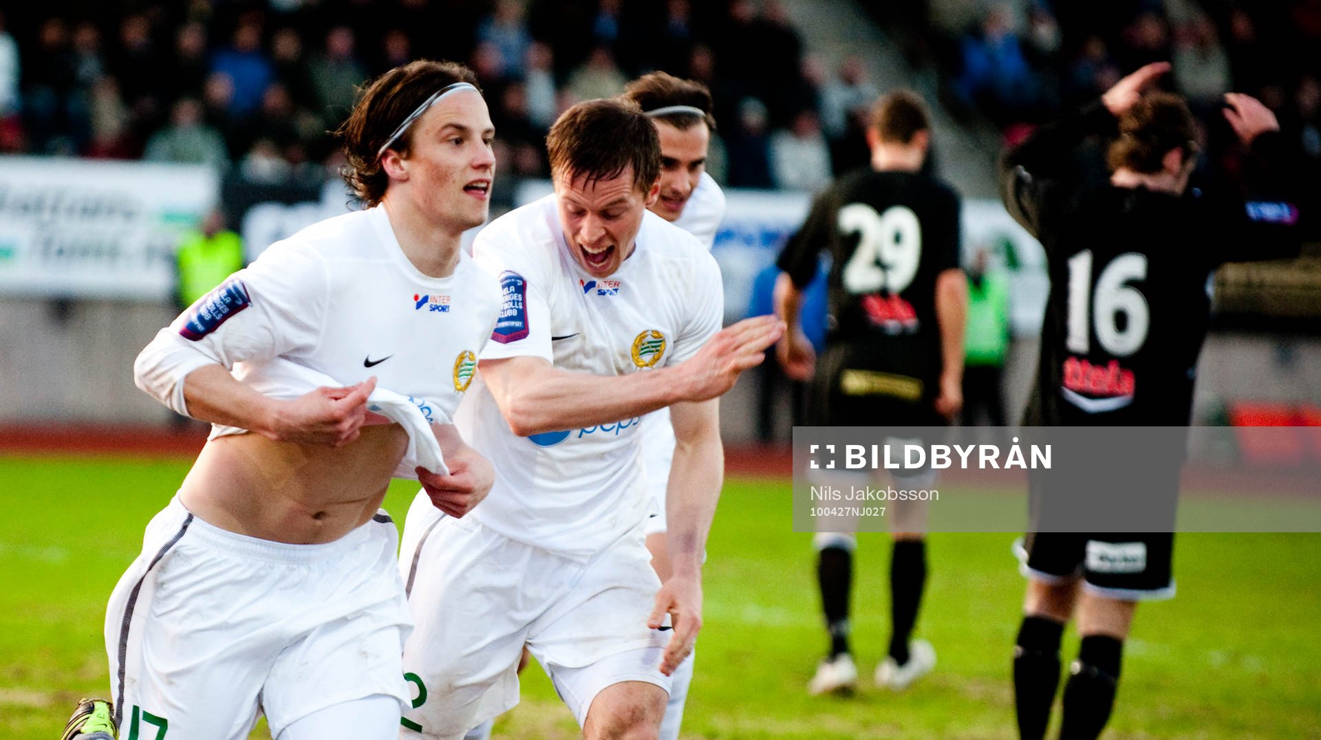 Linus Hallenius, Hammarby jubel