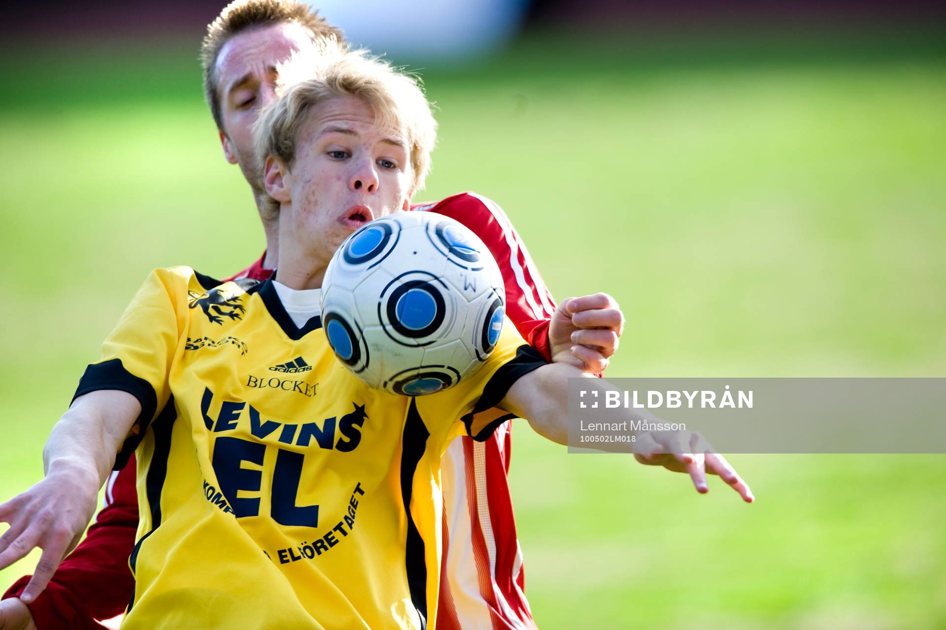 Joel Wedenell, Hässleholm