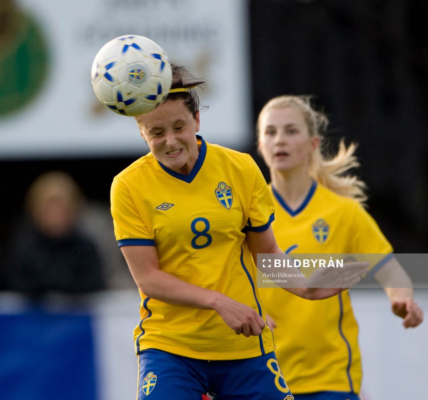 Josefine Alfsson, Sverige