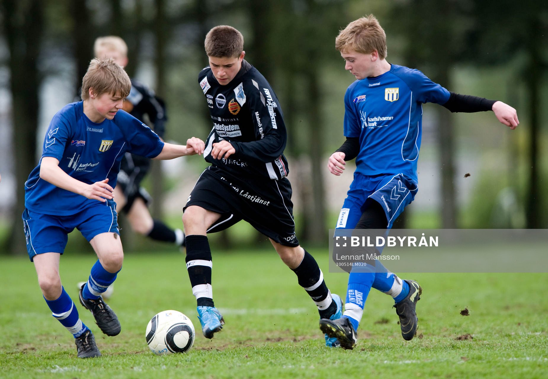 Pojkar 14 år, Asarum - Bara