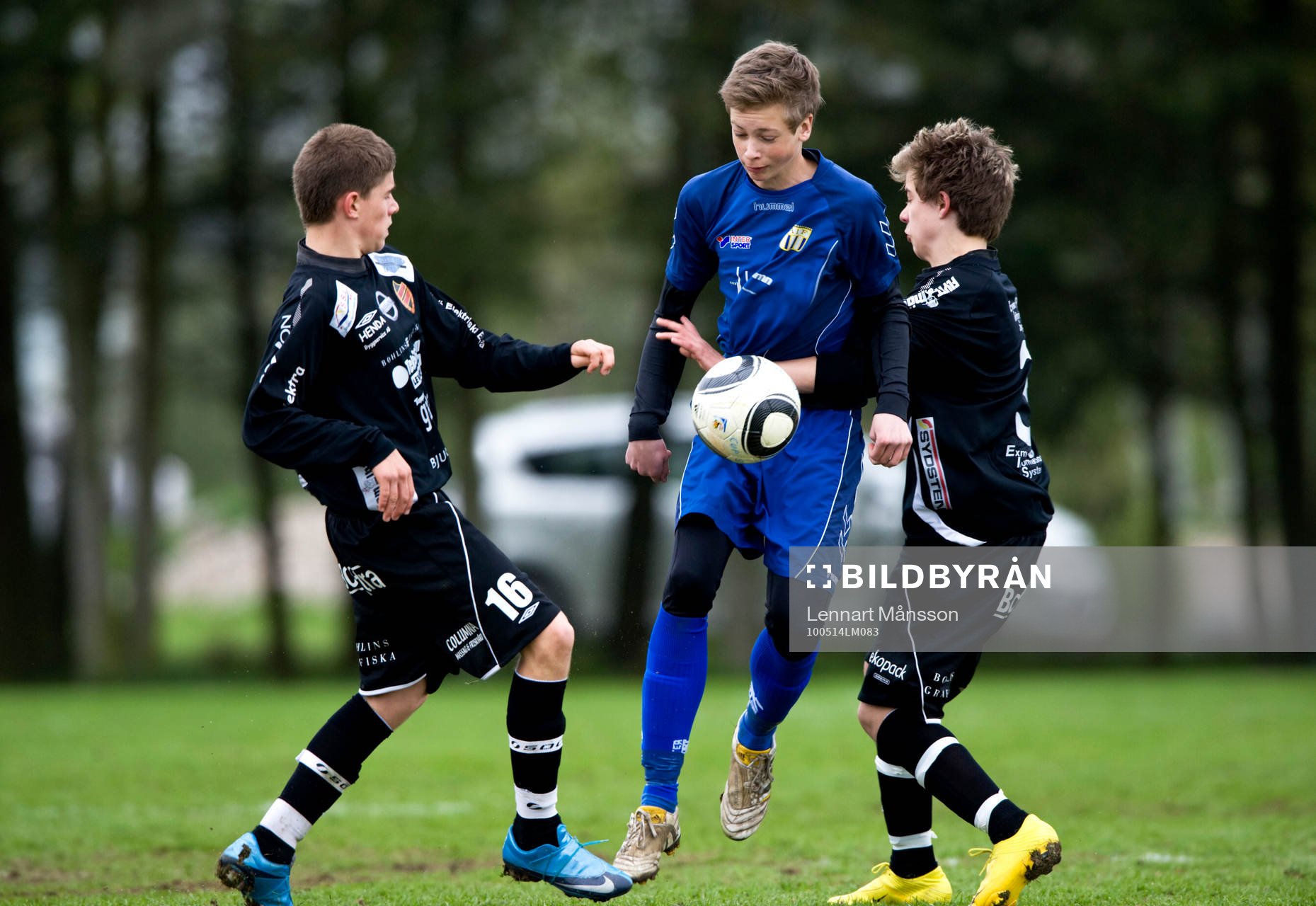 Pojkar 14 år, Asarum - Bara