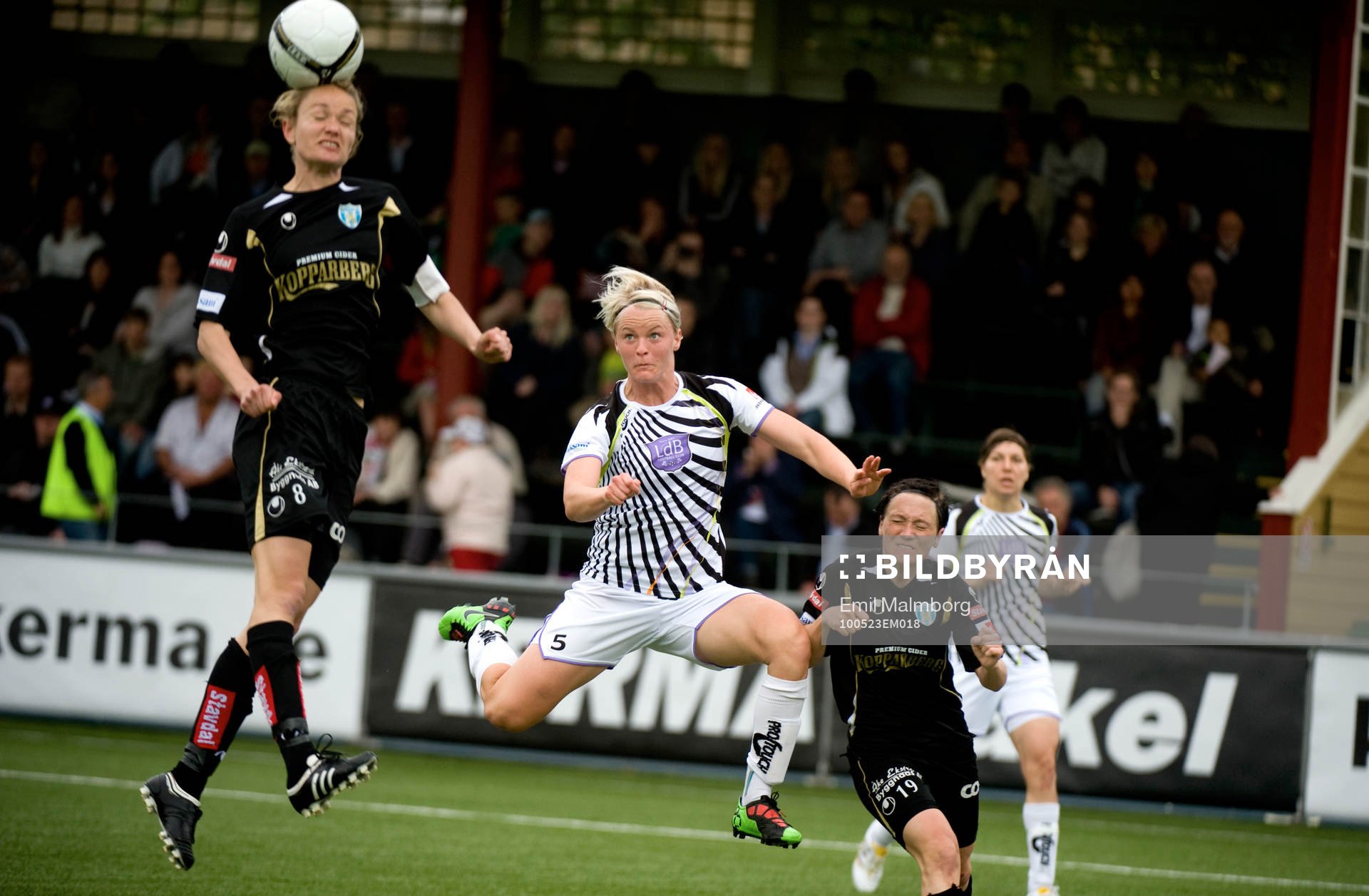 Nilla Fischer, LDB