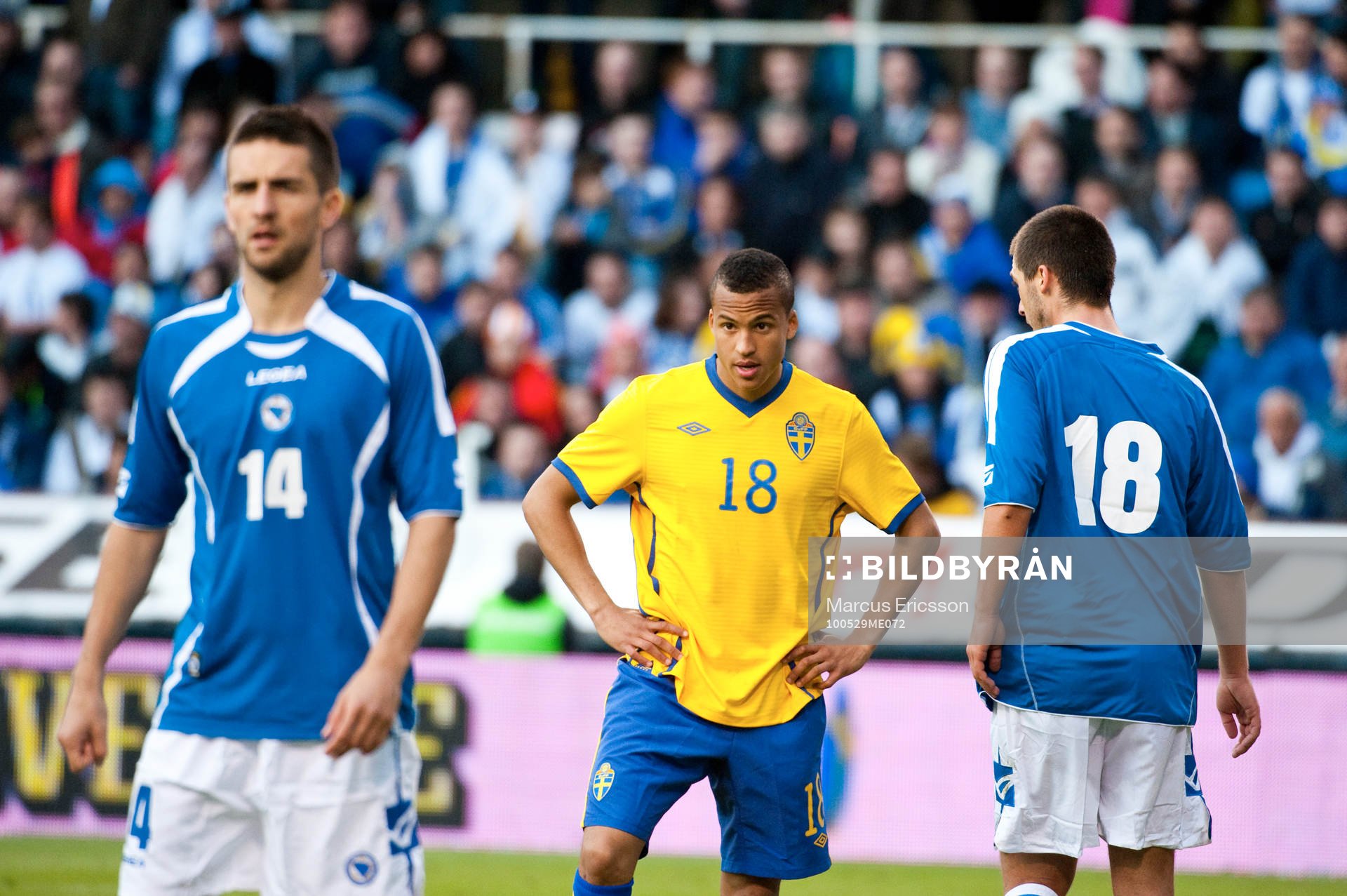 Martin Olsson, Sverige