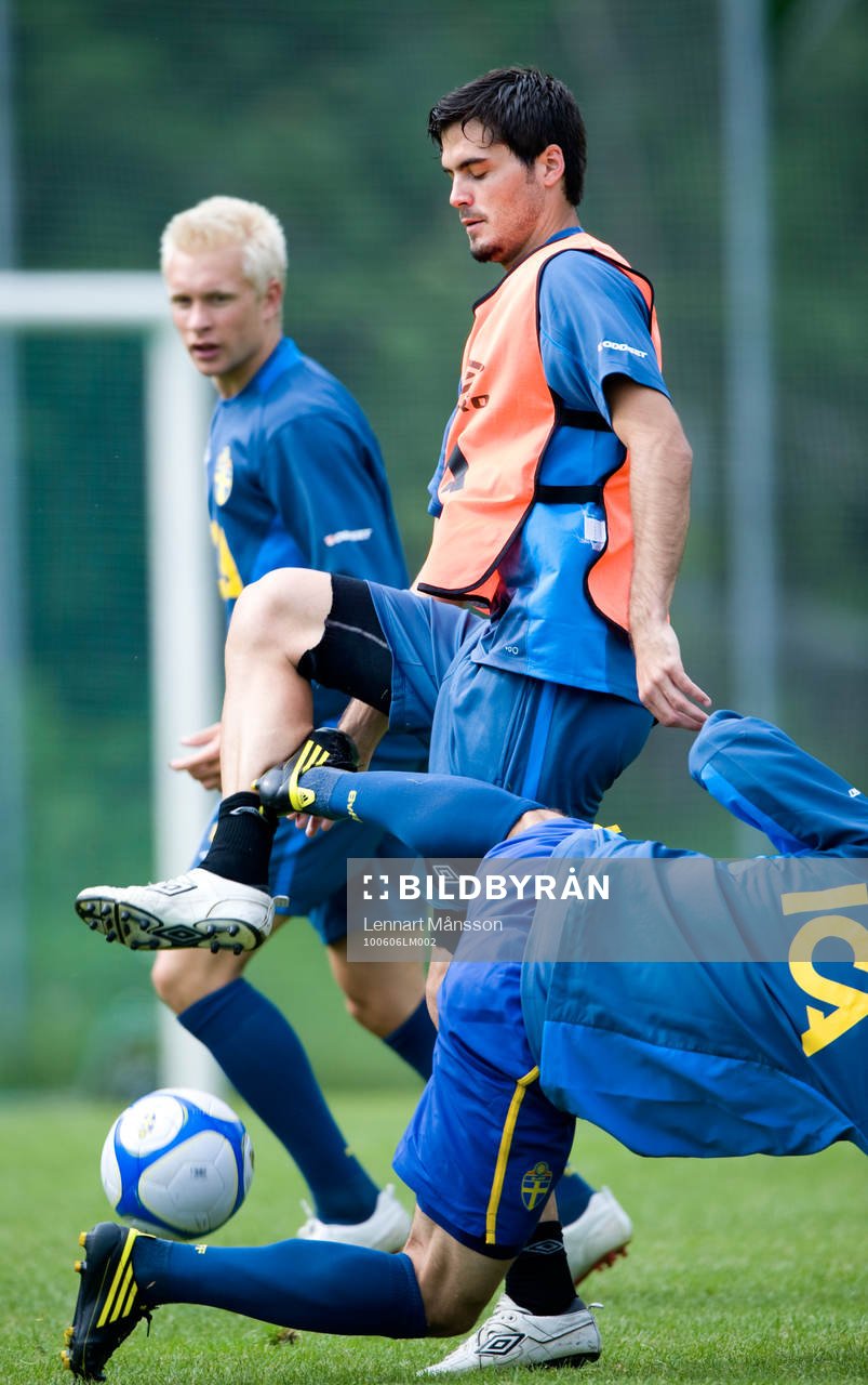 Denni Avdic, Sverige